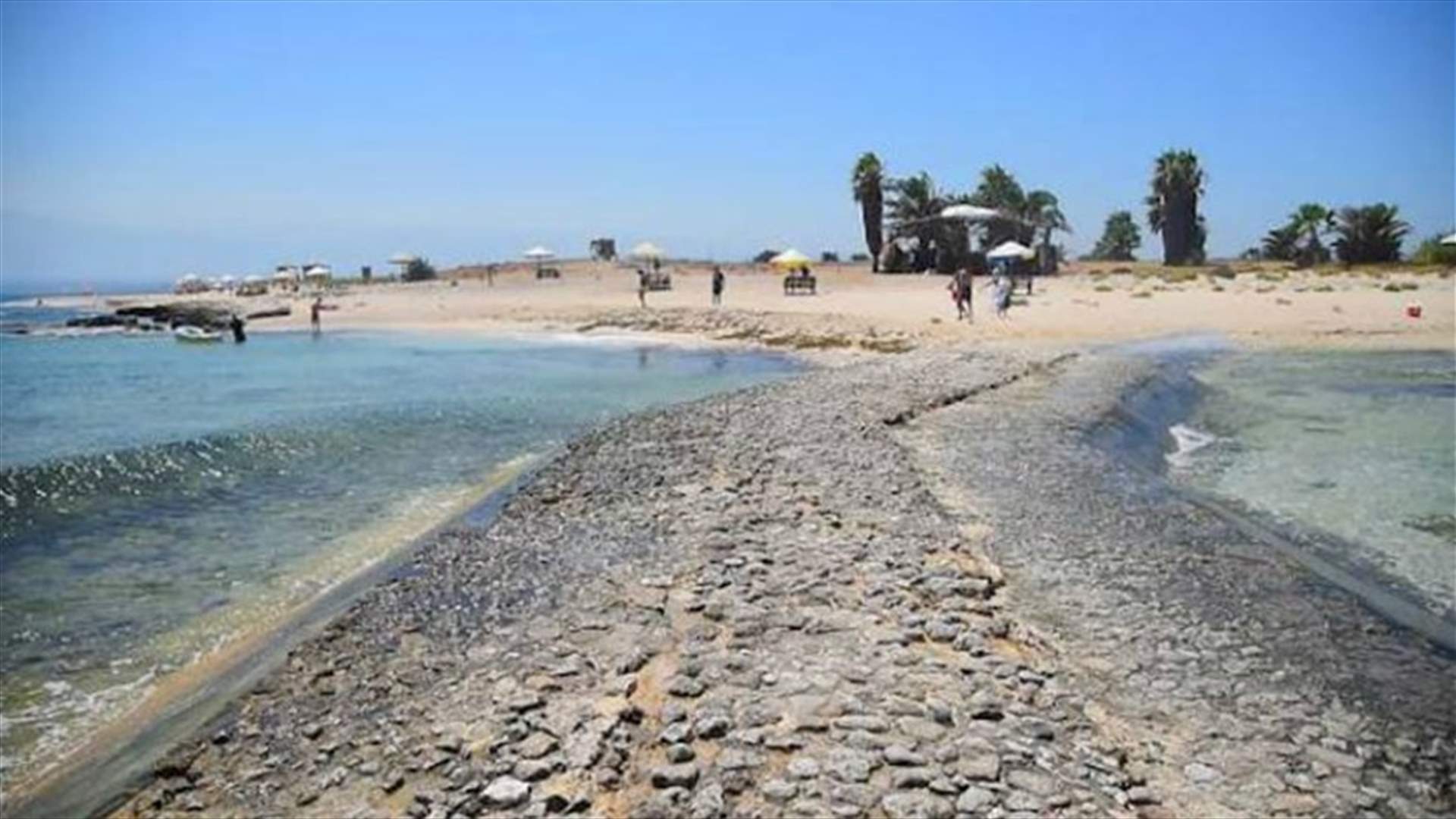 شباب من جبل محسن وباب التبانة نظفوا جزر طرابلس