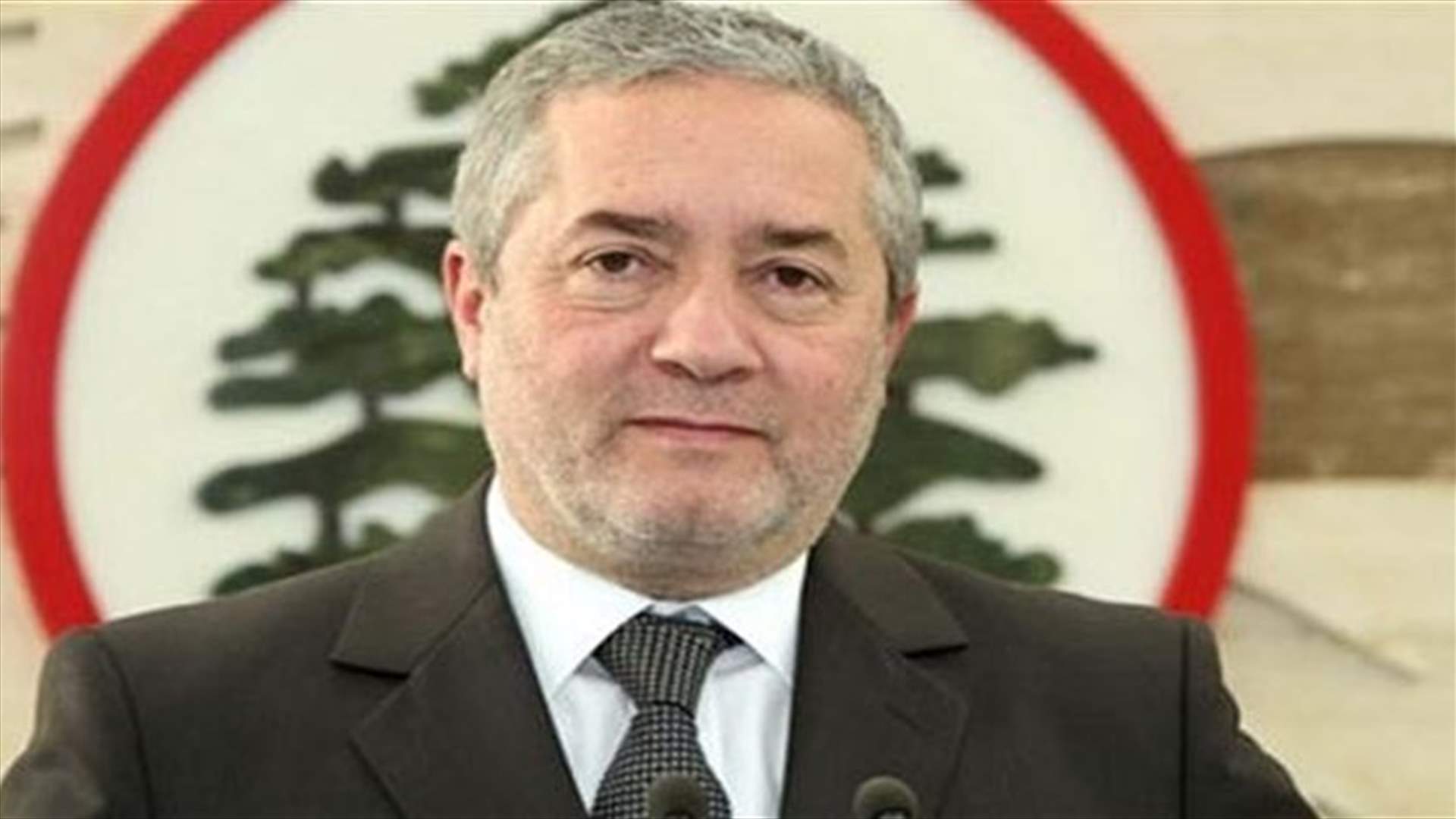 ابي اللمع لـ"الحياة": غالبية التوظيفات غير منتجة وتثقل الخزينة