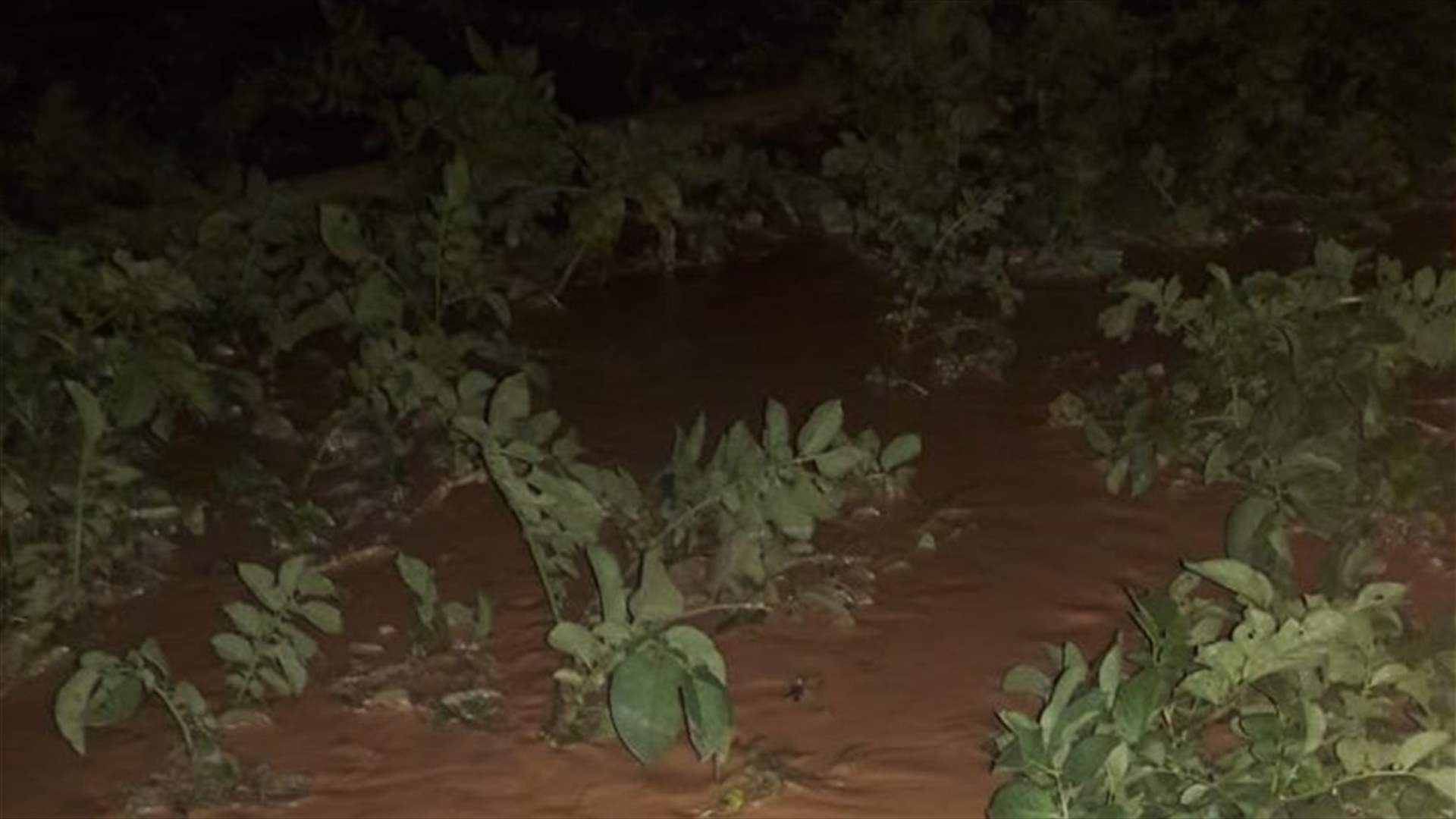 سيول في بلدة يونين تسببت بأضرار كبيرة في المزروعات