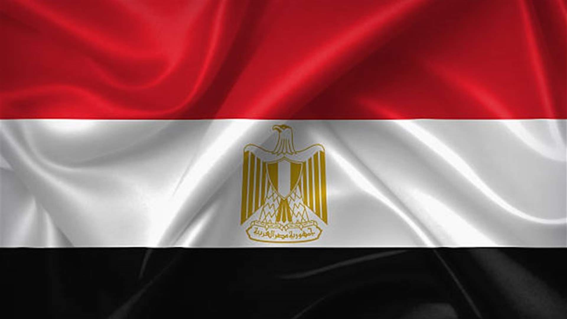 توقيف خبير إقتصادي في مصر... والسبب كتاب؟