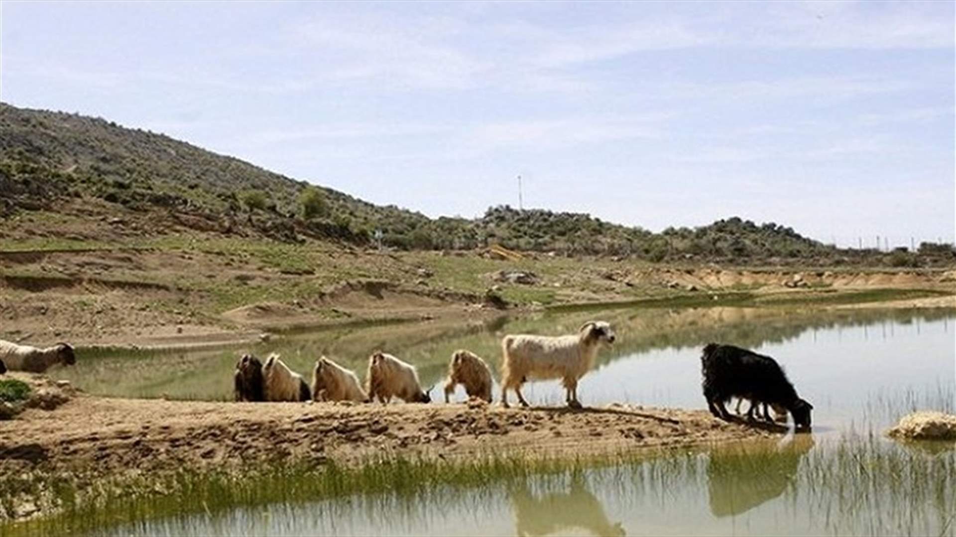 البراز البشري كالسالمونيلا والقولونيات البرازية في مياه شبعا!
