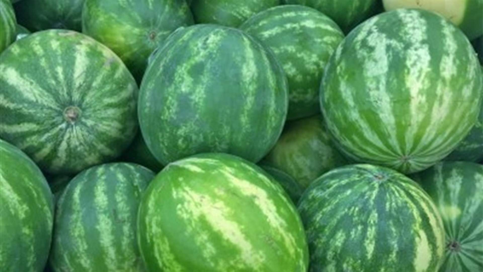 "البطيخ الكبير" يباع بمليوني دولار...