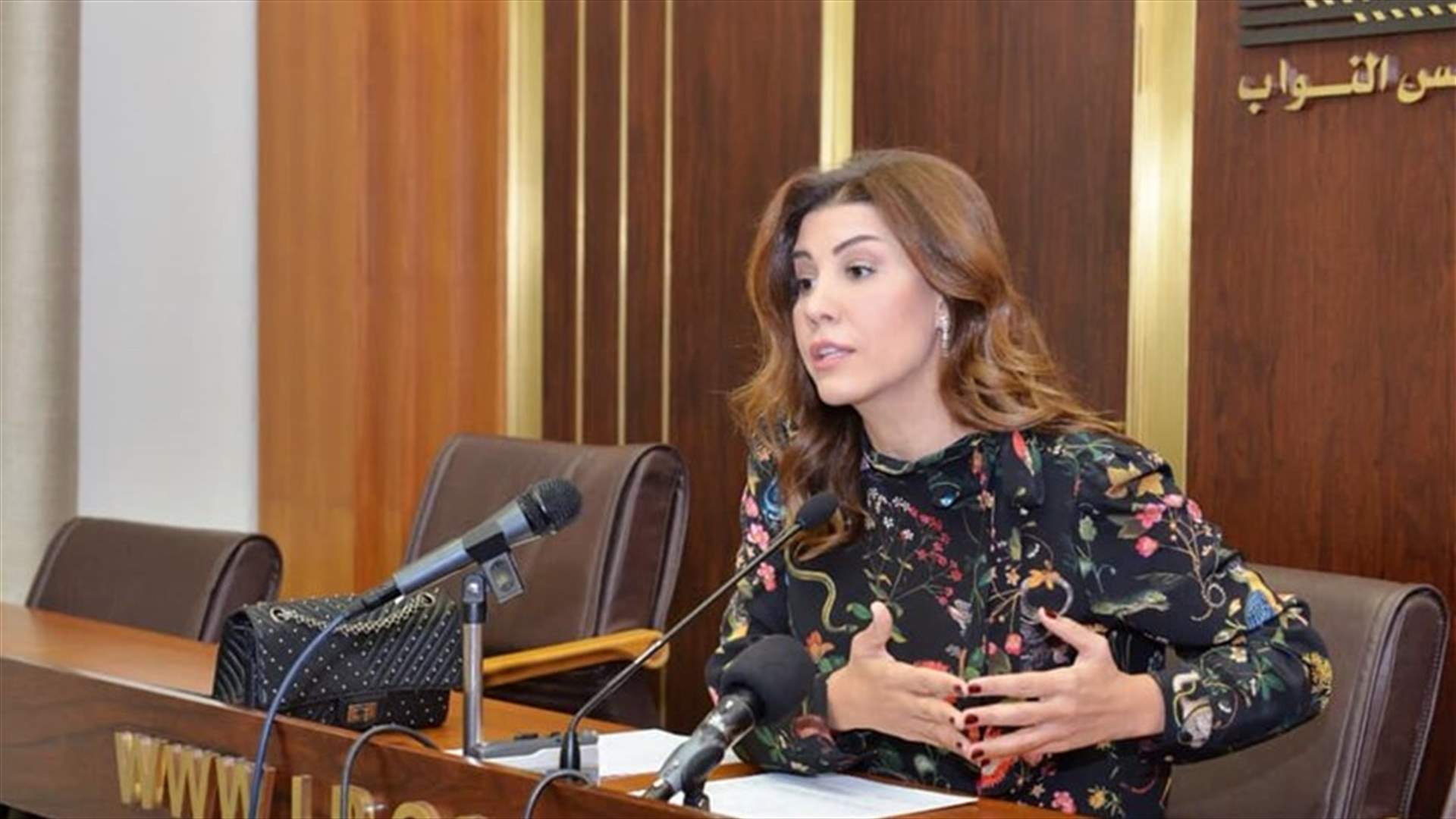 يعقوبيان تؤكد استمرارها بتقديم الطعون والقوانين والمساءلات الى حين انتظام عمل المؤسسات