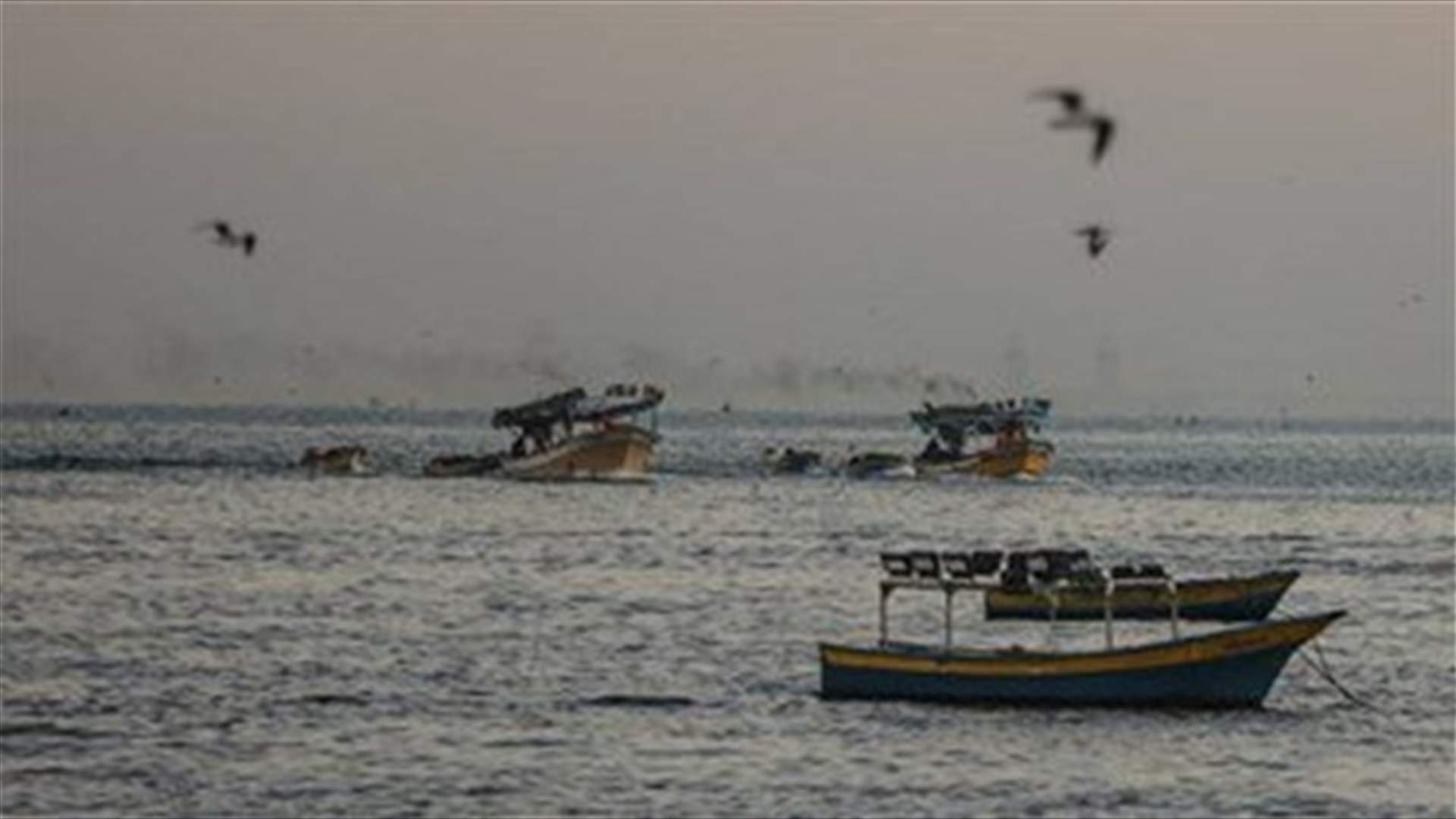 Army stops fishing boat attempting to smuggle into Cyprus