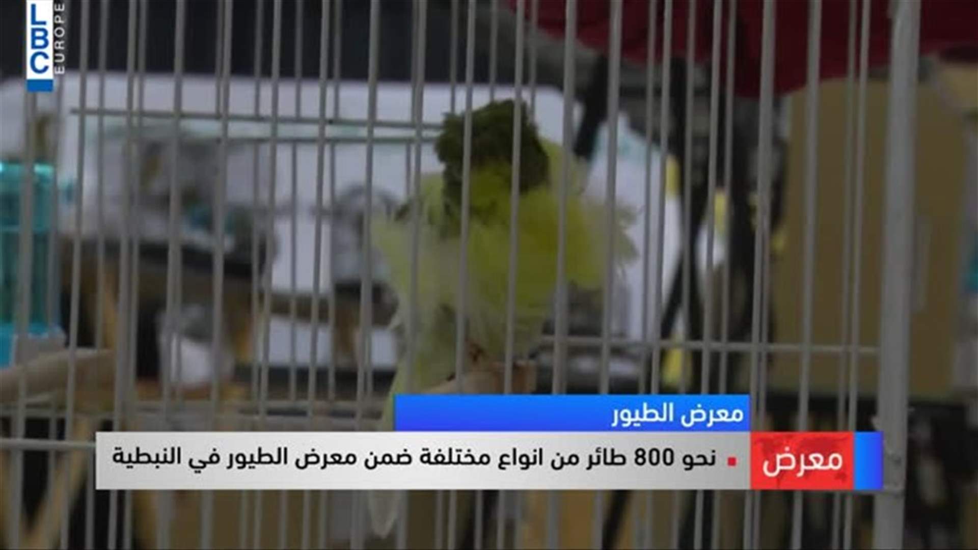 LBCI
