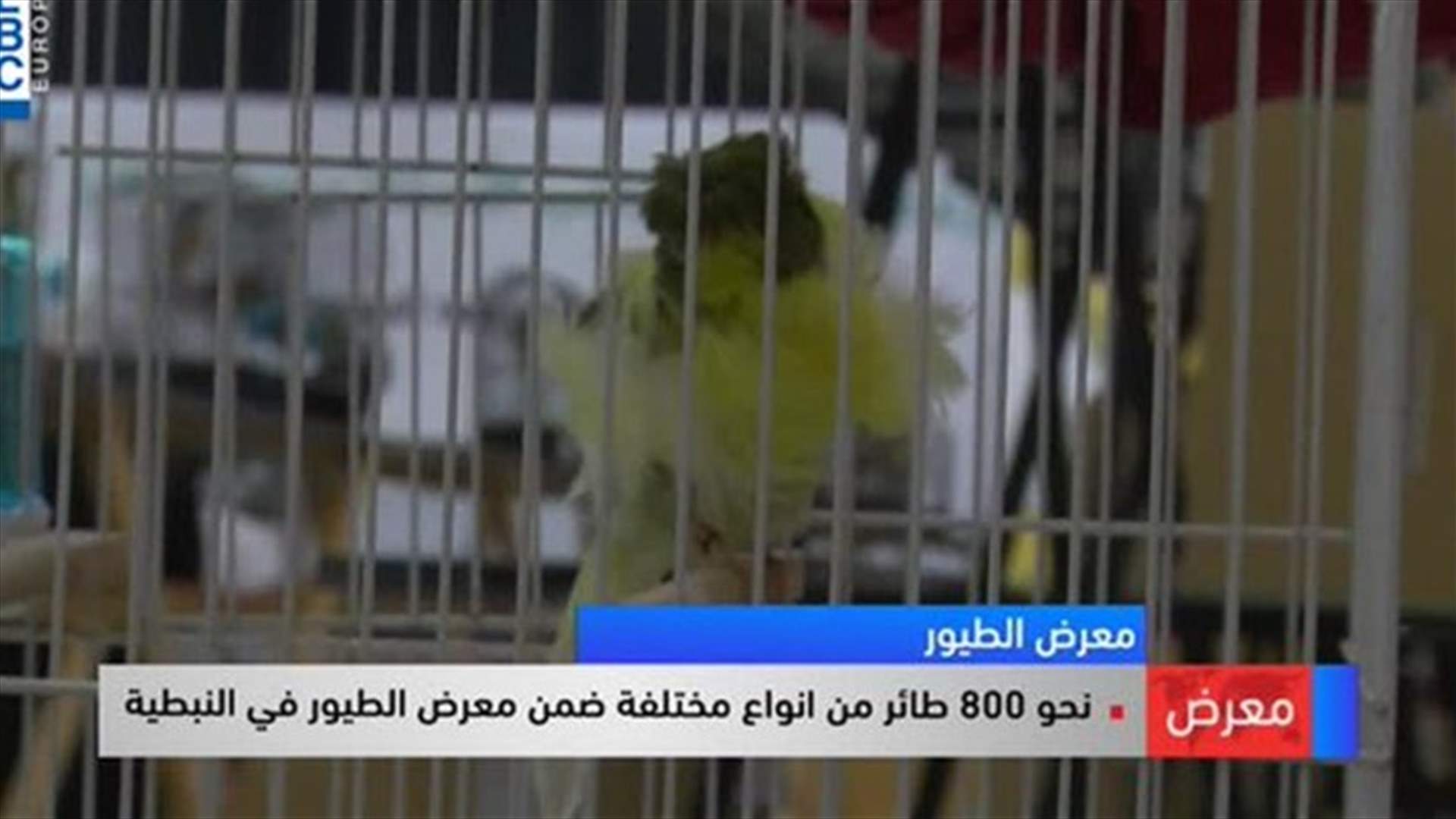LBCI