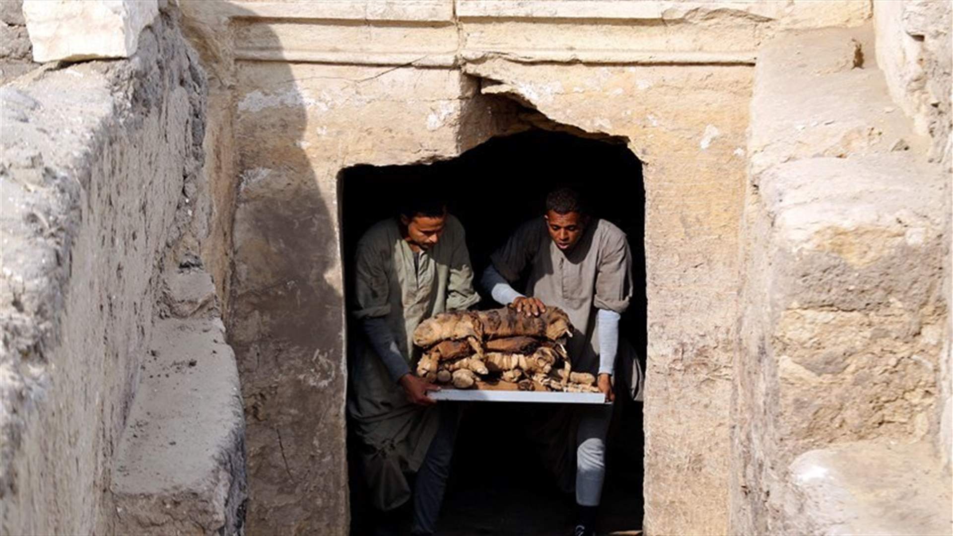 Ancient Egyptian tombs yield rare find of mummified scarab beetles