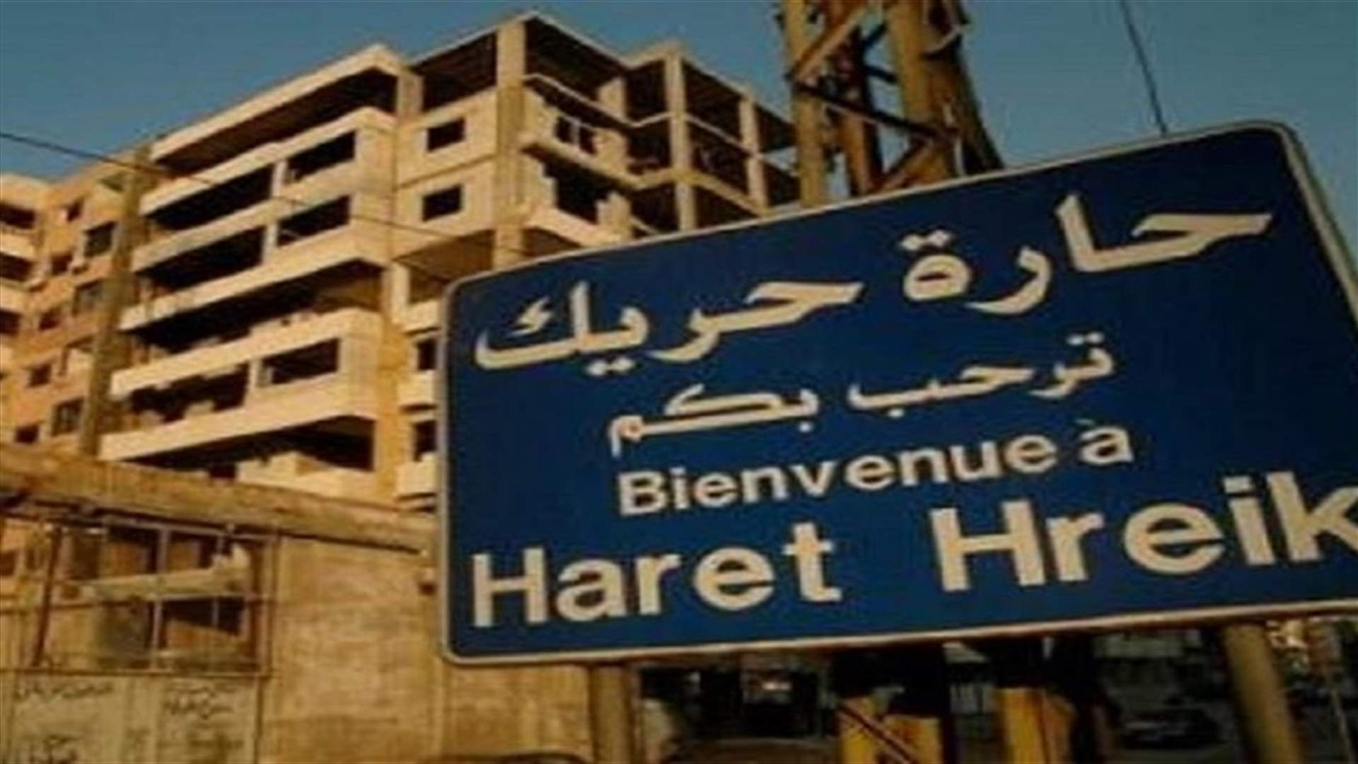 تمور بجانبها حشرات في حارة حريك... ومراقبو الصحة في البلدية يتحركون