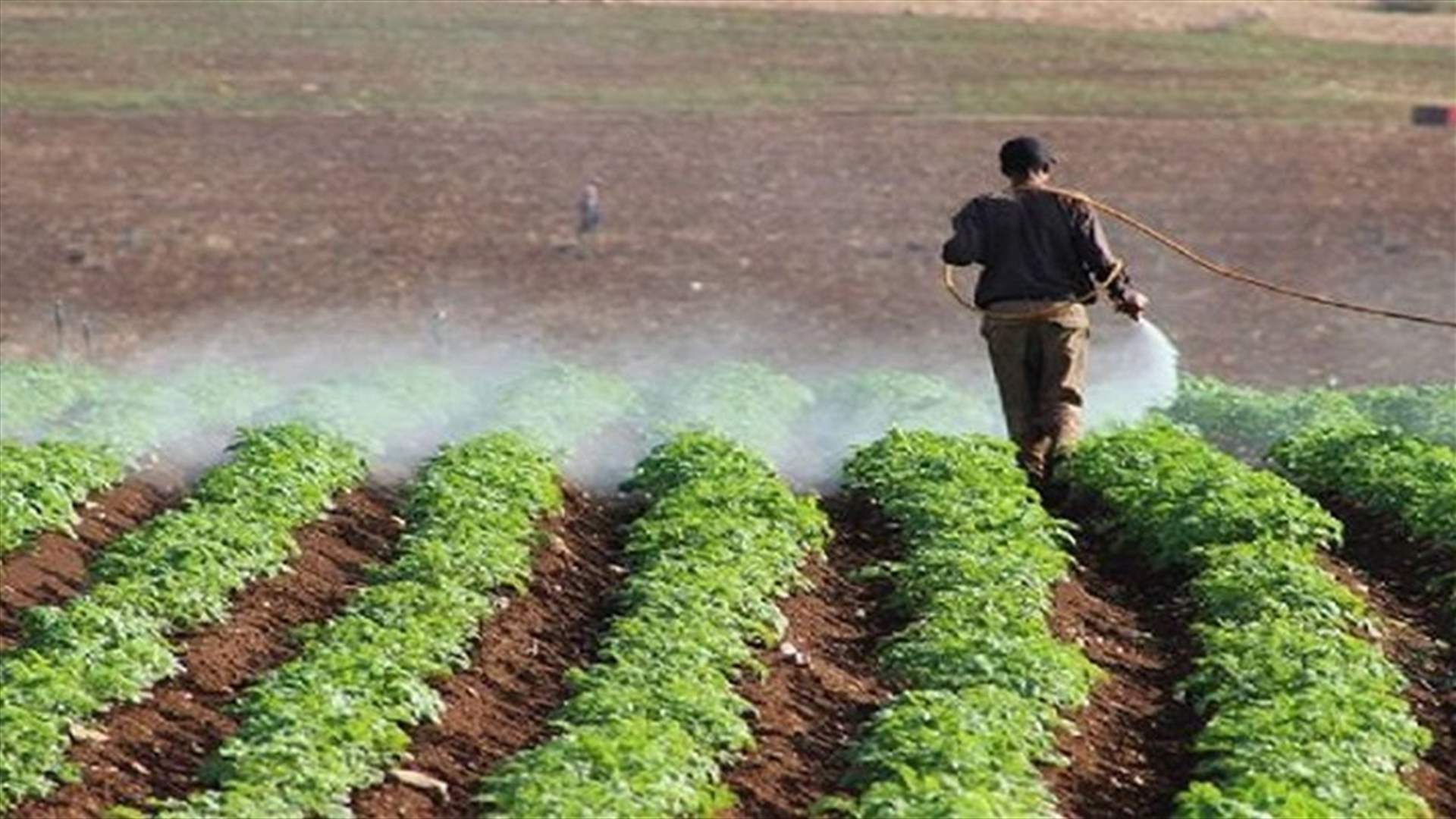 Ministry of Agriculture warns against use of a pesticide