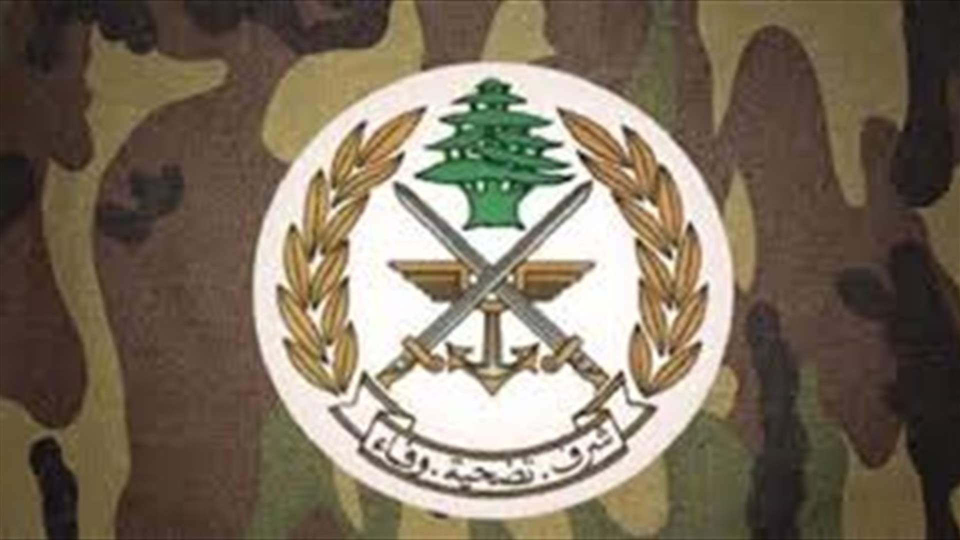 الجيش دهم منازل في العسيرة في بعلبك وأوقف مطلوبين