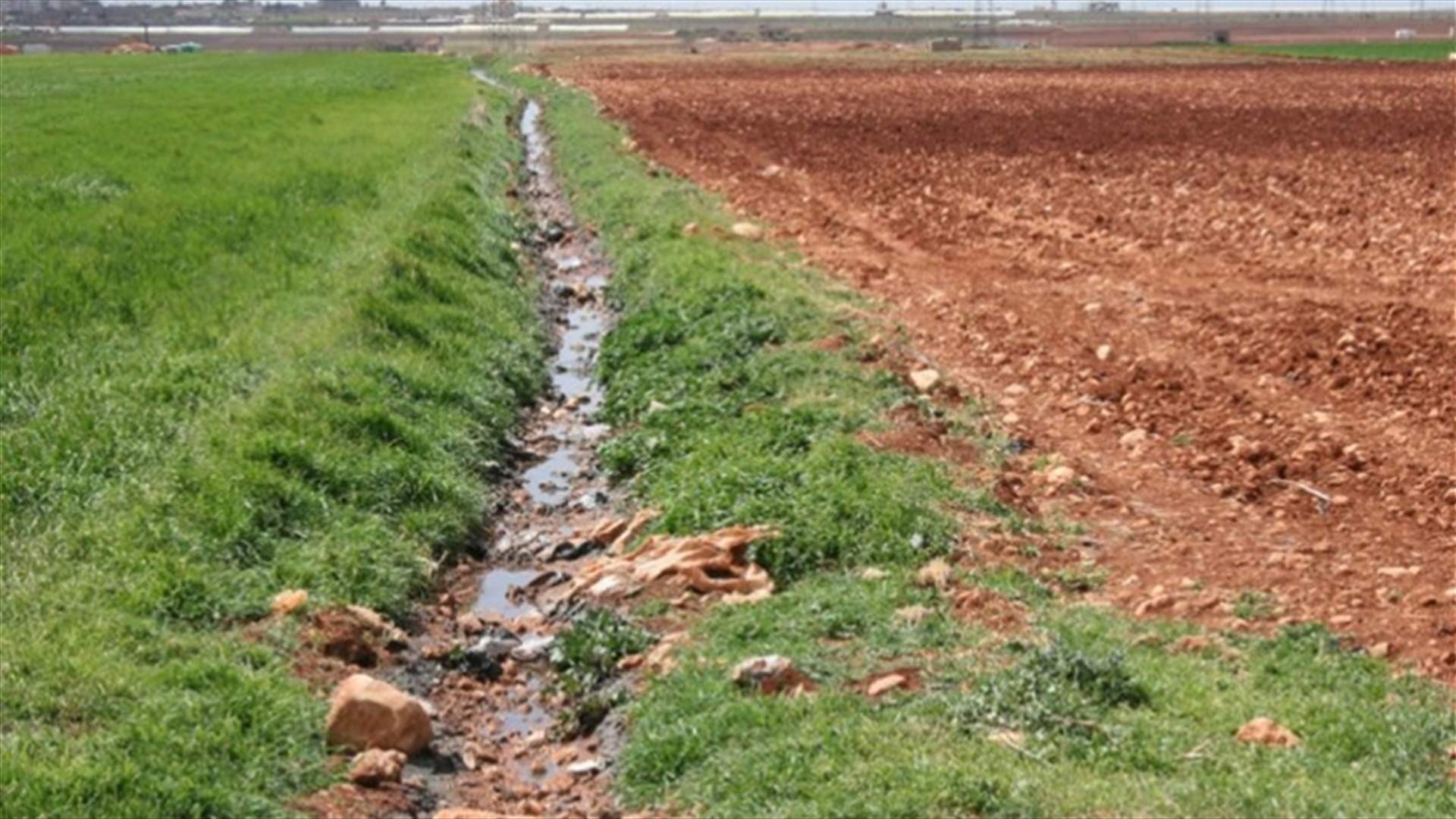 "الاخبار" تنشر تحاليل مياه قناتي القاسمية ورأس العين الجرثومية