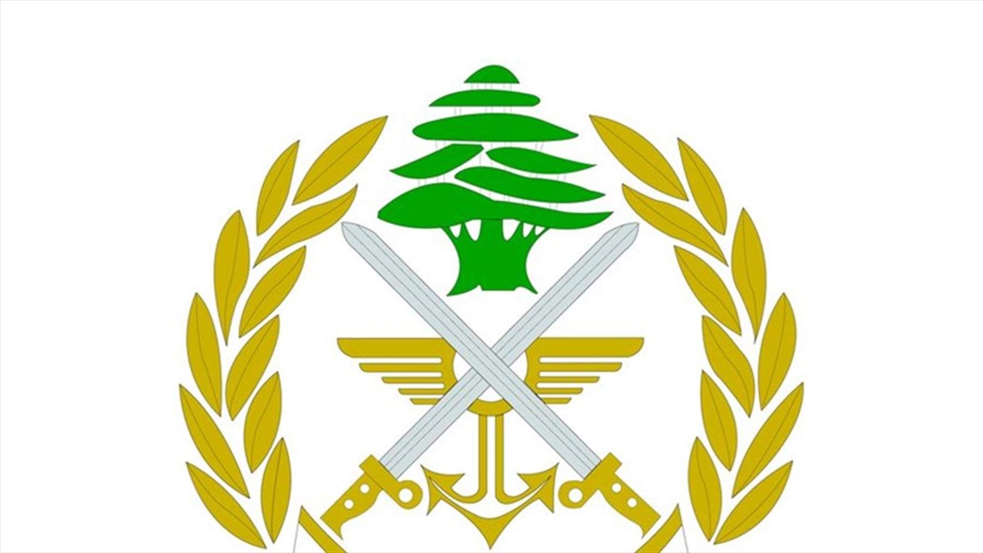 قيادة الجيش تعتذر من المواطنين