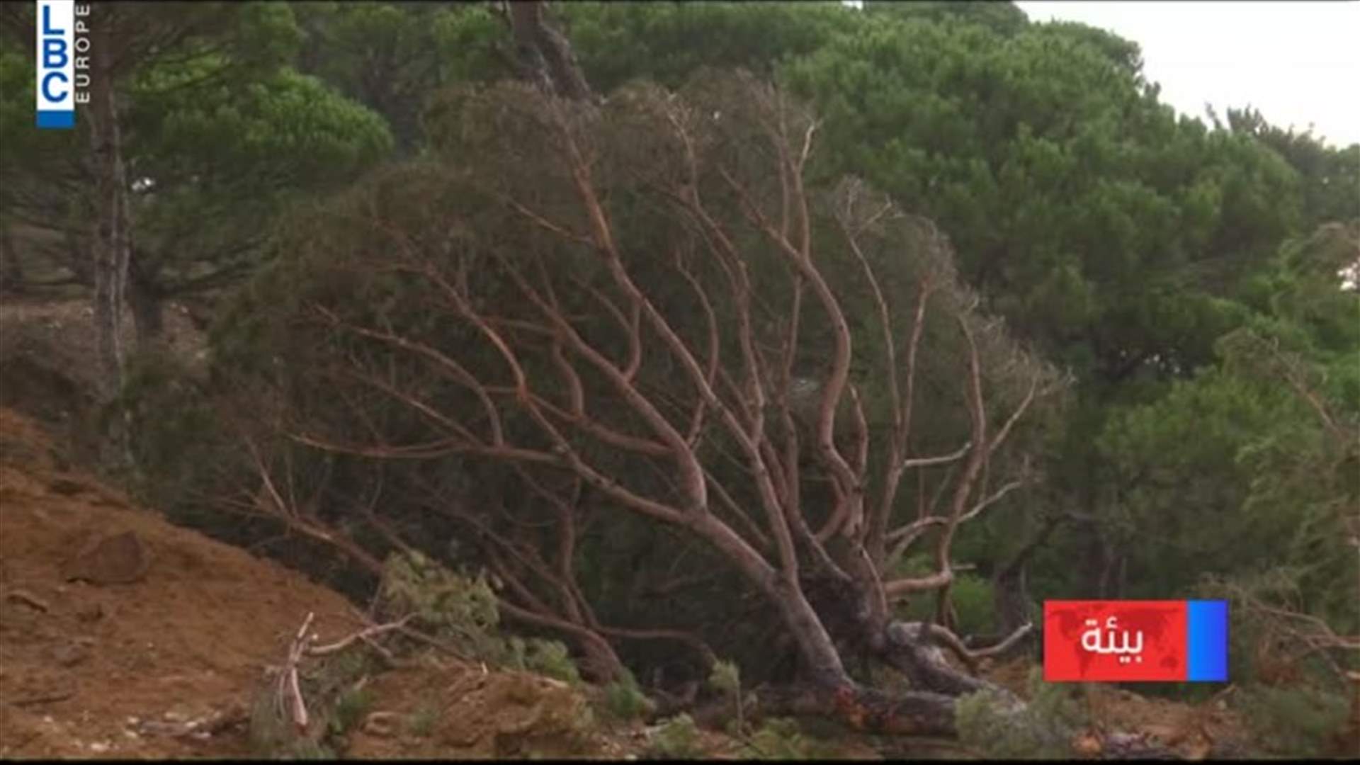 LBCI