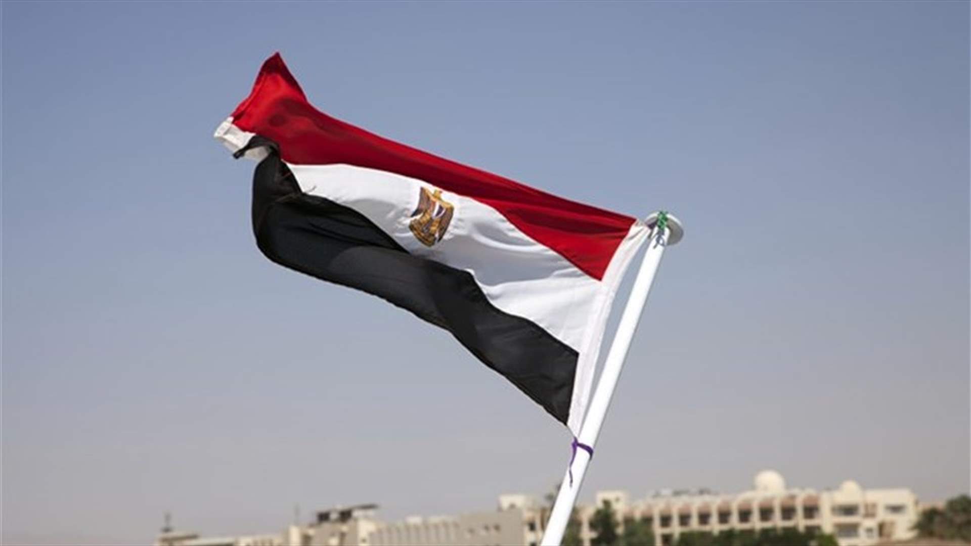 Egypt reveals it is holding daughter of Muslim Brotherhood leader, five others