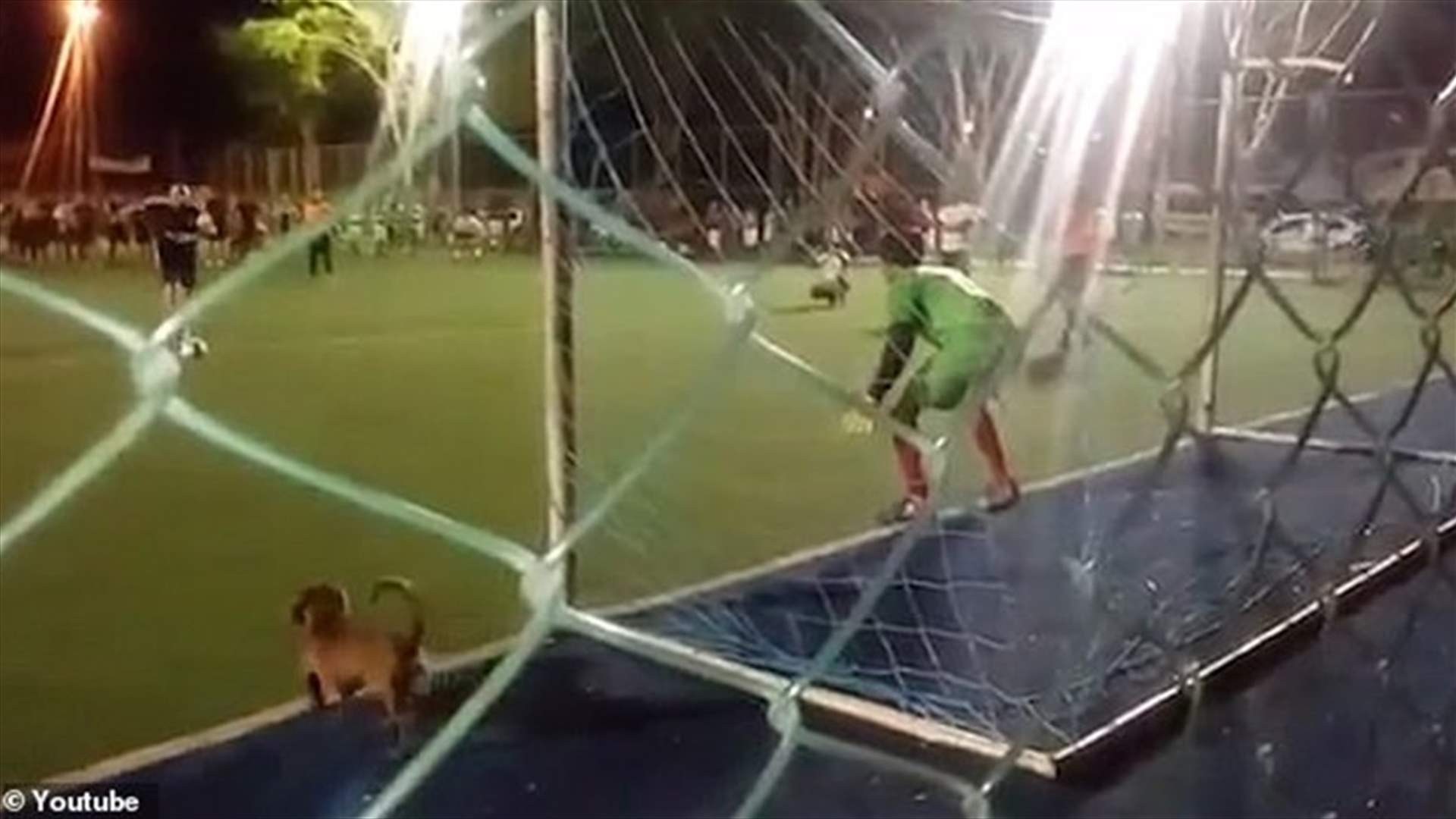 كلب يمنع مهاجماً من تسديد هدف... فيديو يوثّق ما حصل خلال مباراة كرة قدم!