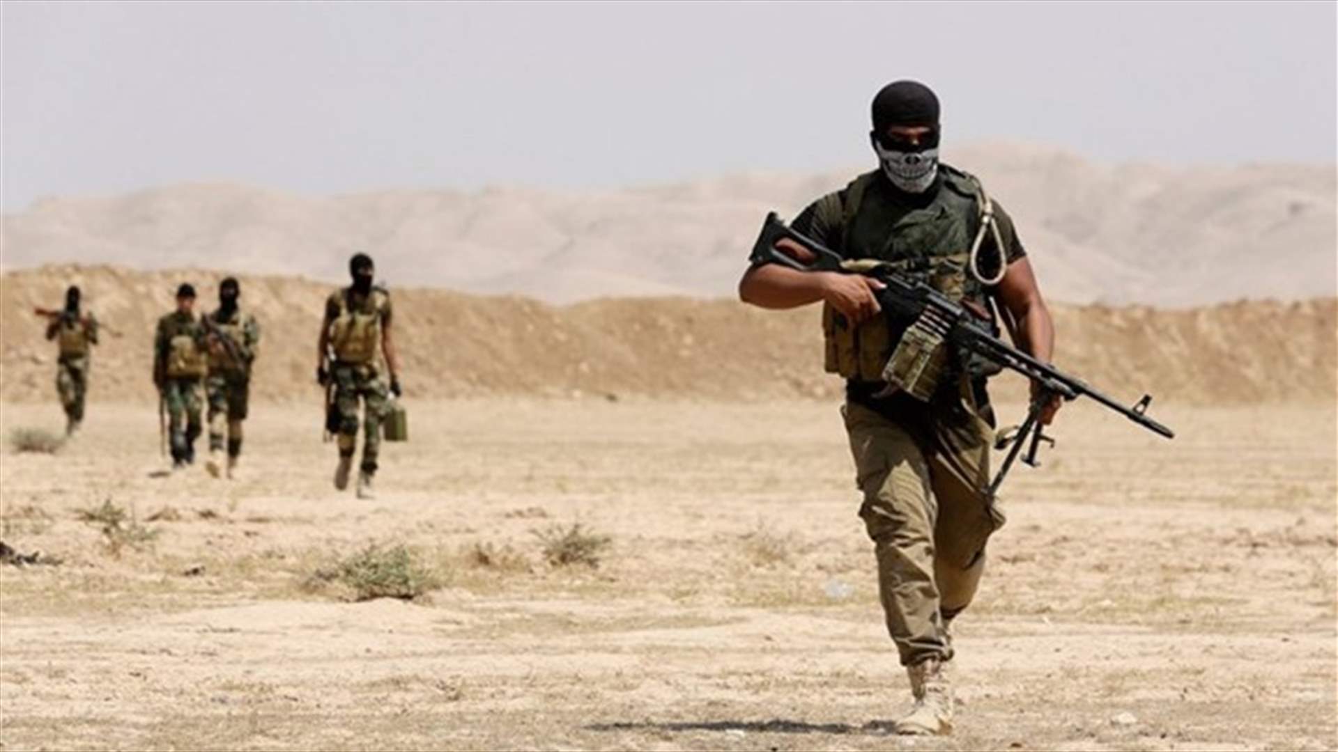 Iraq militia leader urges formal border security role for Shi'ite fighters