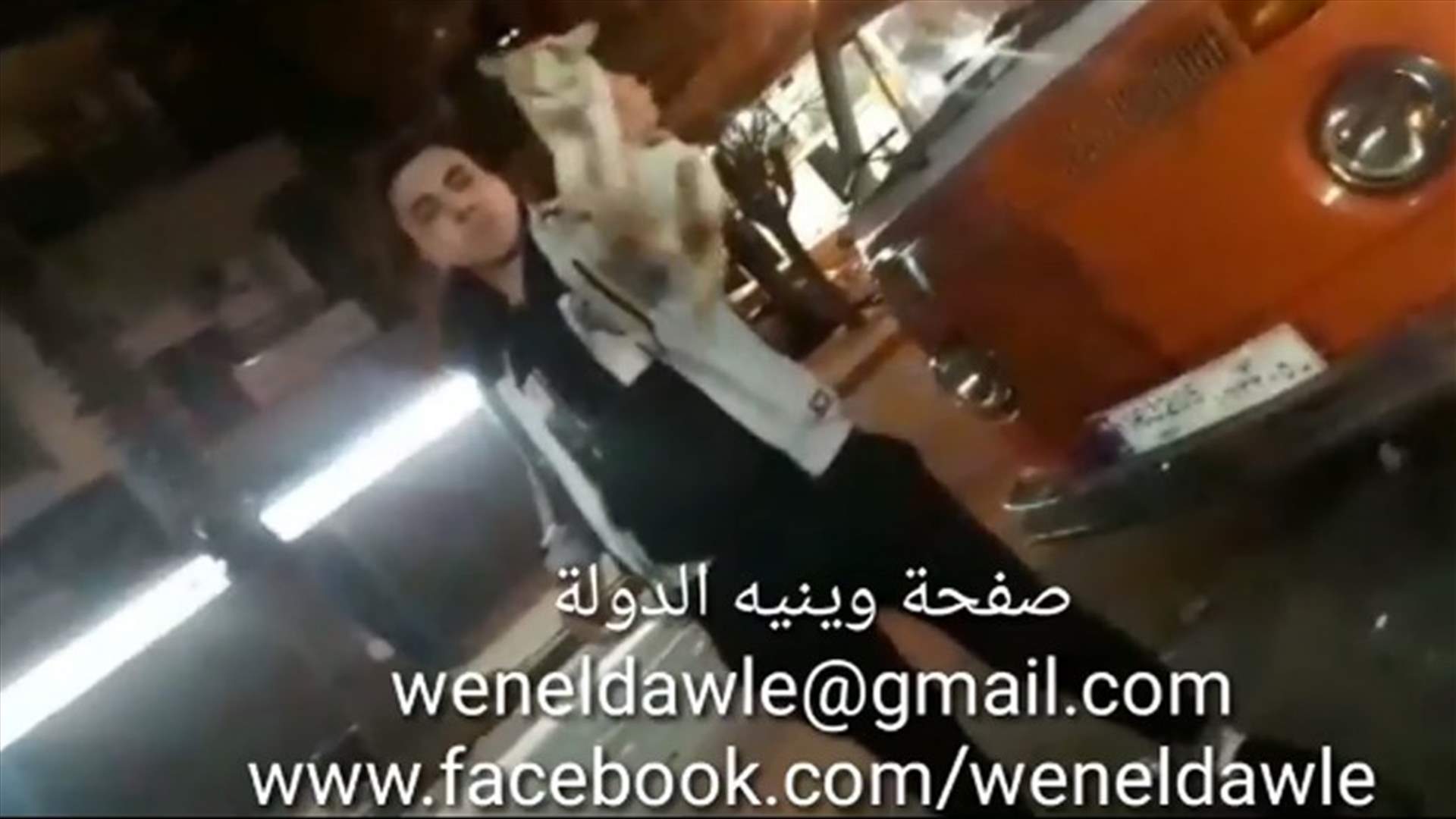 شاب يضرب هرة حتى الموت (فيديو)