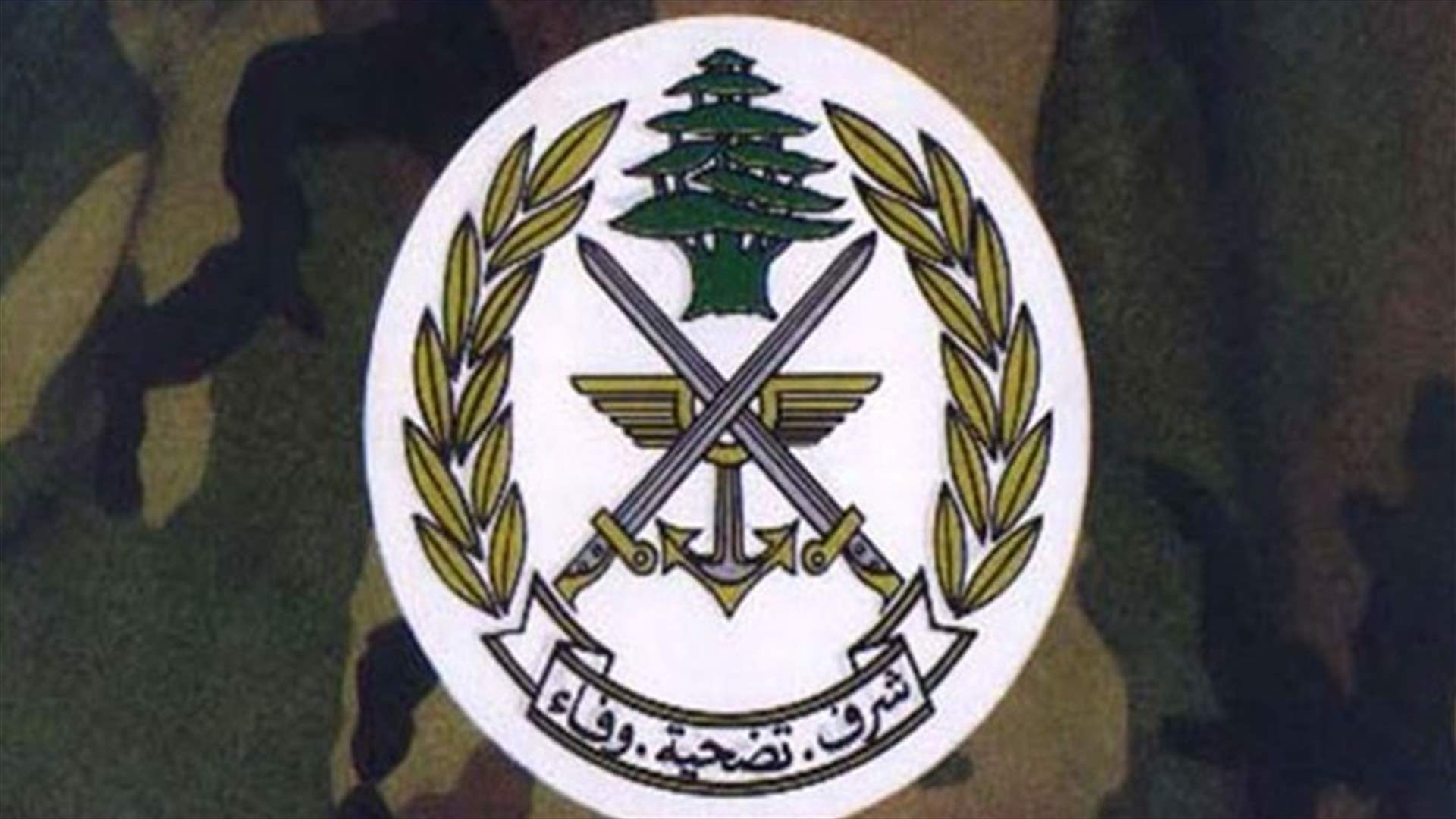 الجيش: الوضع على الحدود الجنوبية هادئ ومستقر