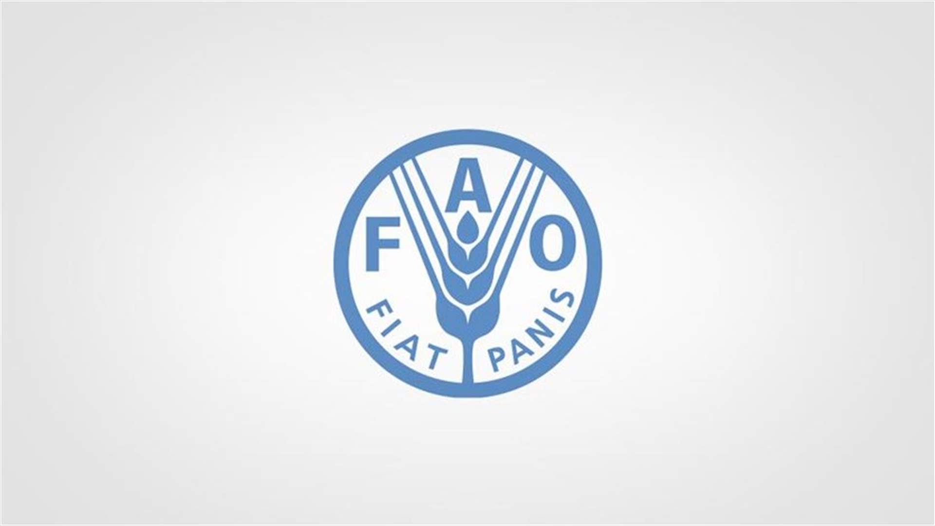 فرنسا والاتحاد الاوروبي يرشحان امرأة لرئاسة منظمة الفاو
