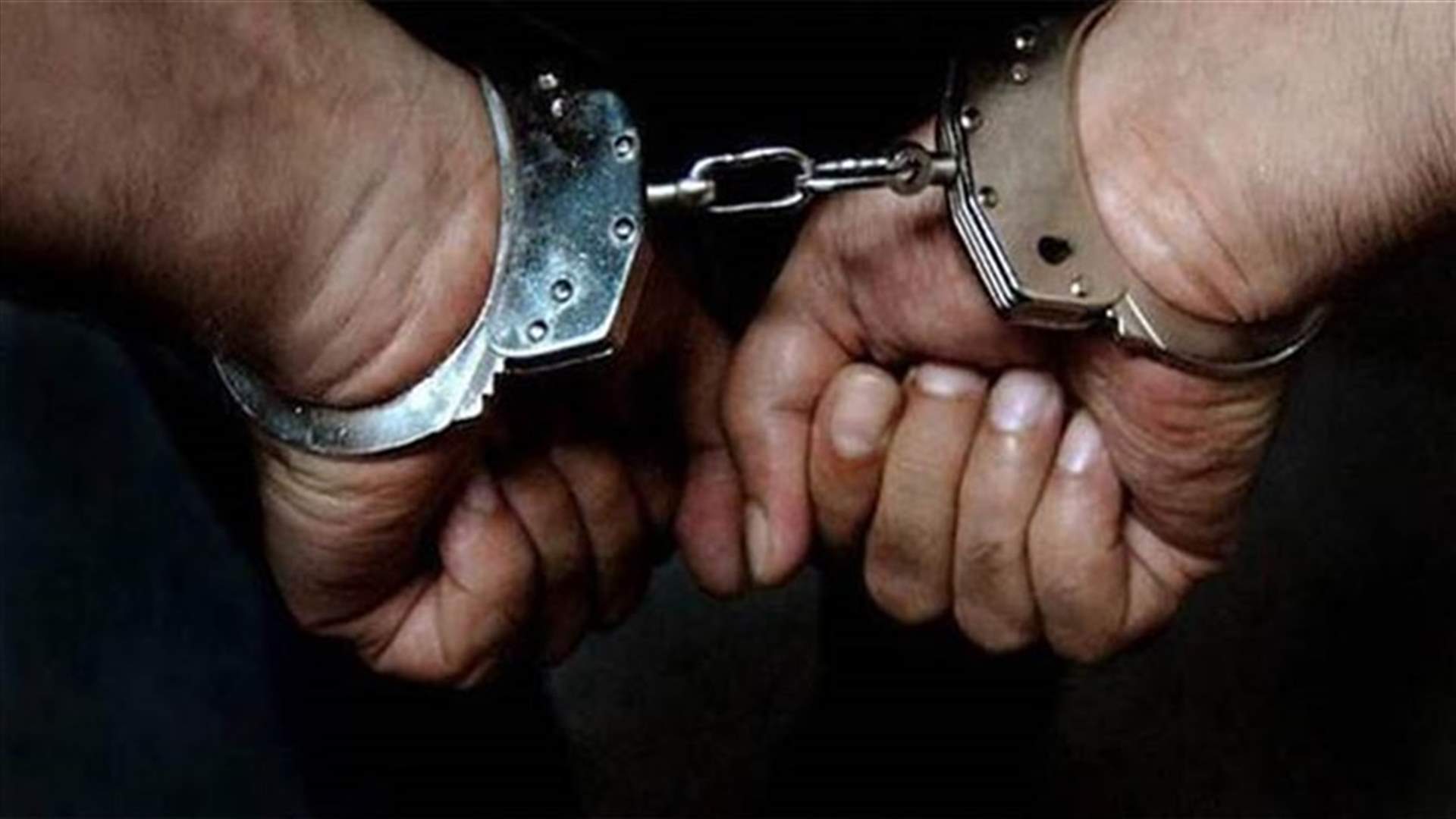 مذكرات وجاهية بتوقيف أصحاب 4 معامل ألبان وأجبان في بلدة المرج البقاعية