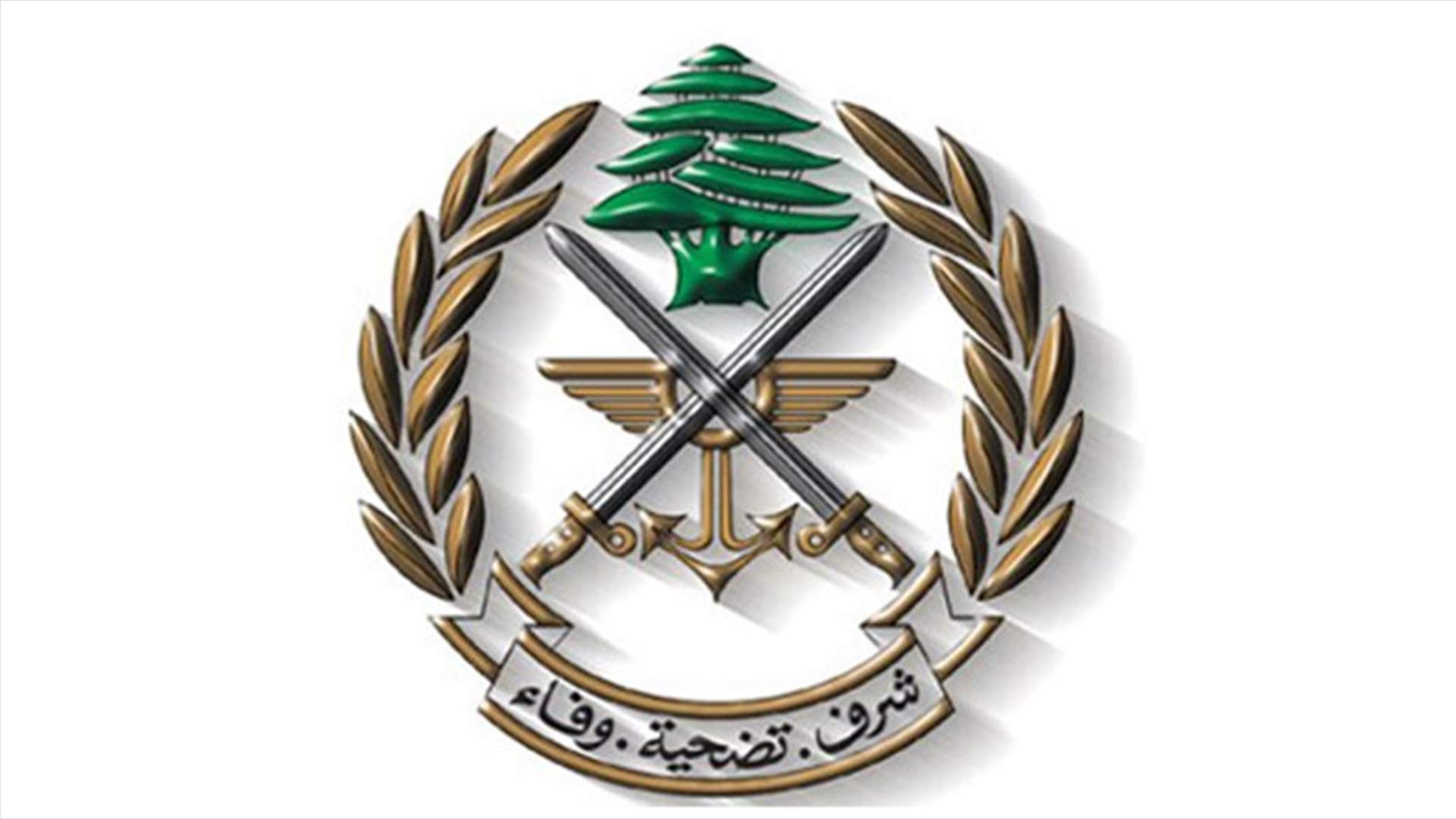 الجيش يدعو إلى عدم إطلاق النار ابتهاجًا بحلول رأس السنة