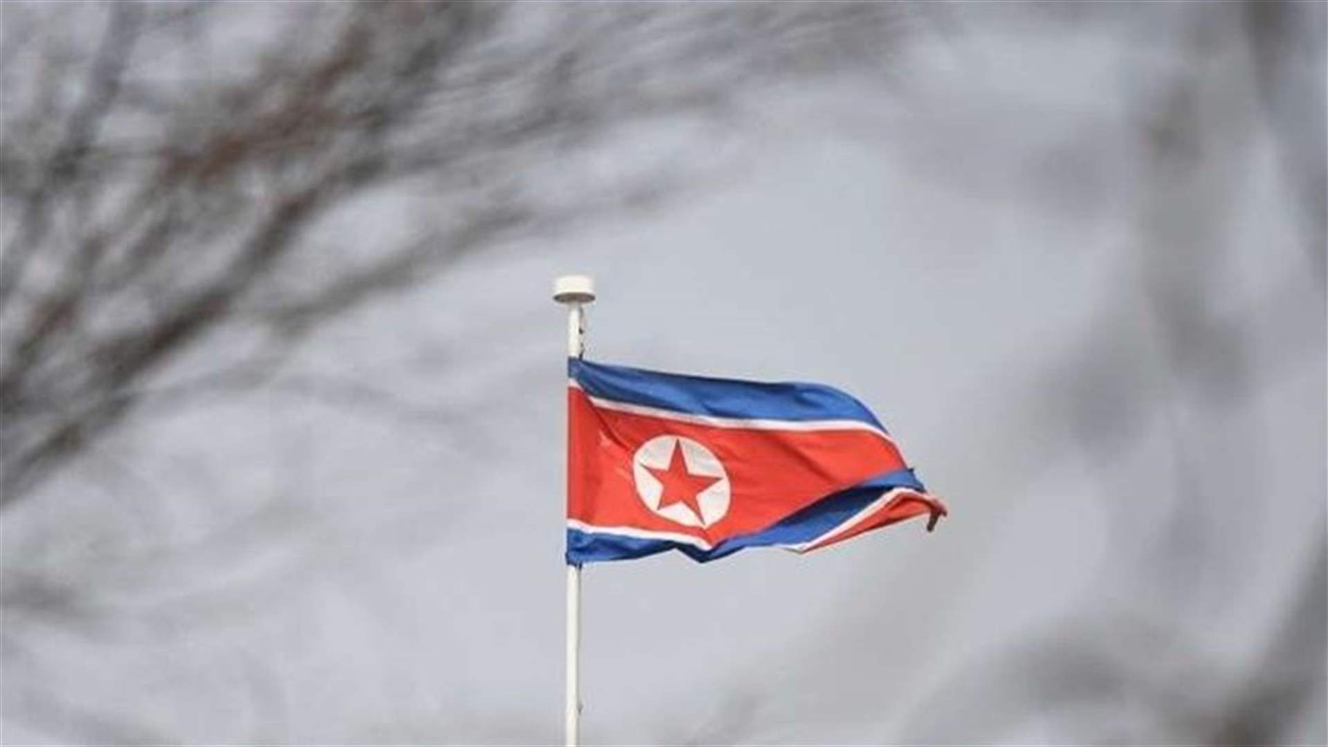 N.Korea diplomat in Italy missing, S.Korean MP says, after asylum report