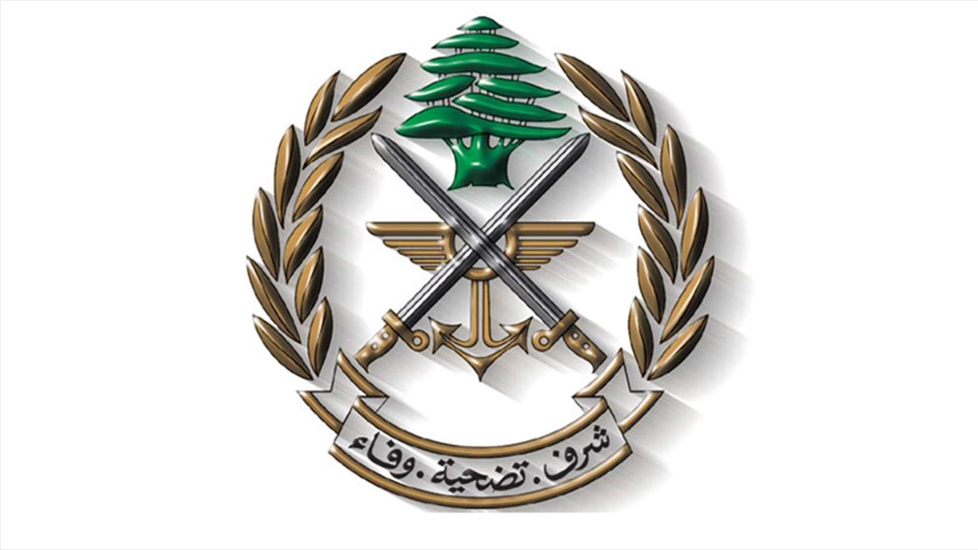 الجيش: استطلاع معاد فوق مناطق الجنوب
