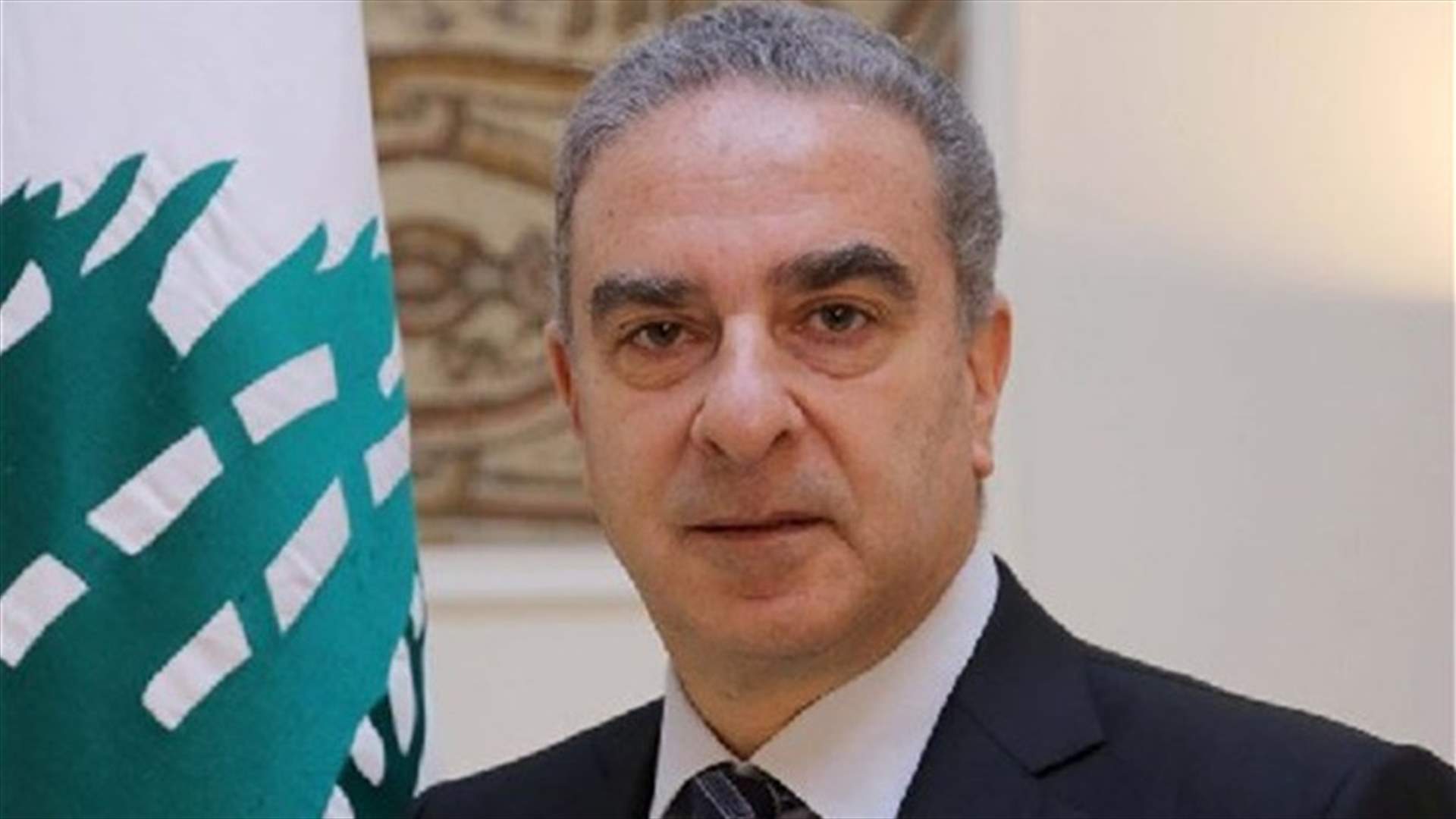 فرعون لـ"الشرق الأوسط": نتائج القمة ستظهر سريعاً