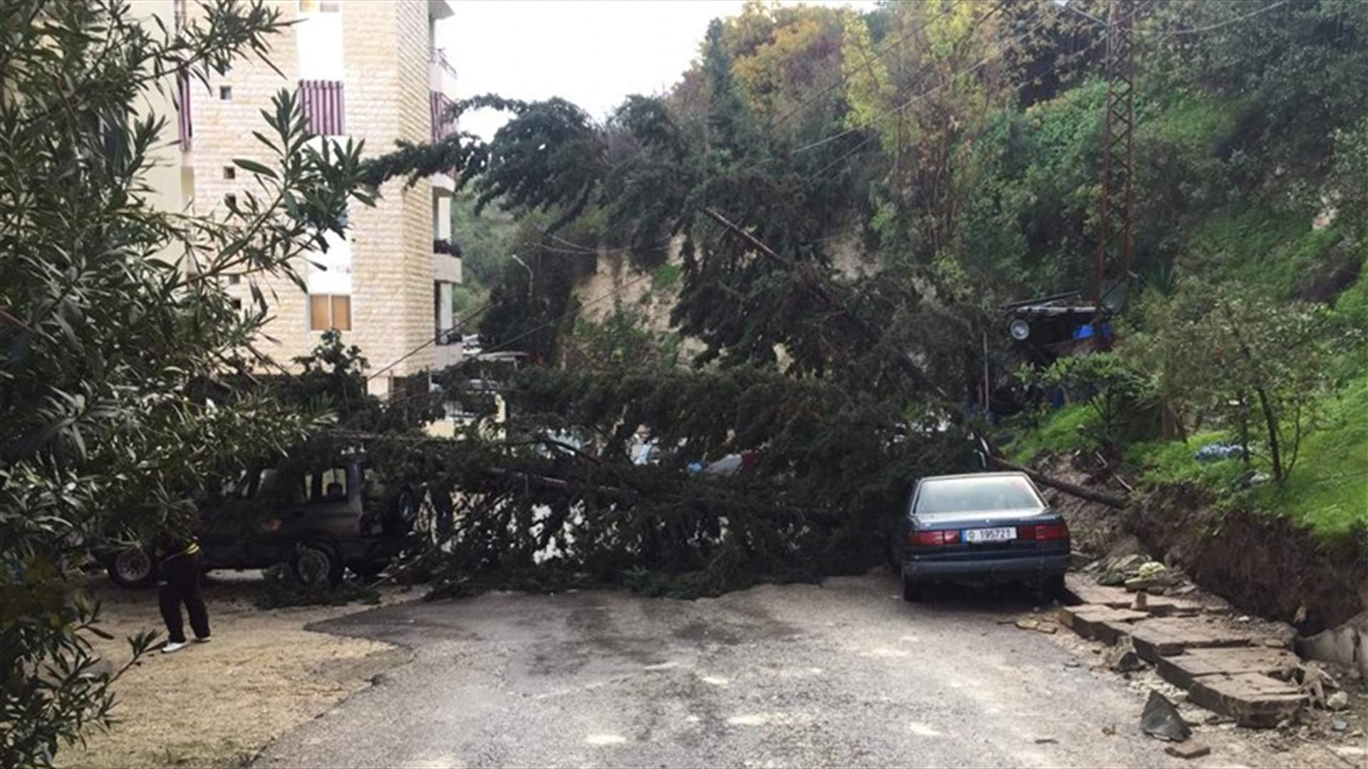 سيول وانهيار حائط ووقوع اشجار في صيدا...