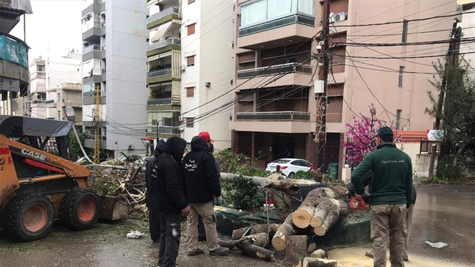 العاصفة تتسبب بسقوط شجرة وعمود كهرباء عند مستديرة أدونيس... وهذا ما تسببت به بالمناطق الاخرى (صور)