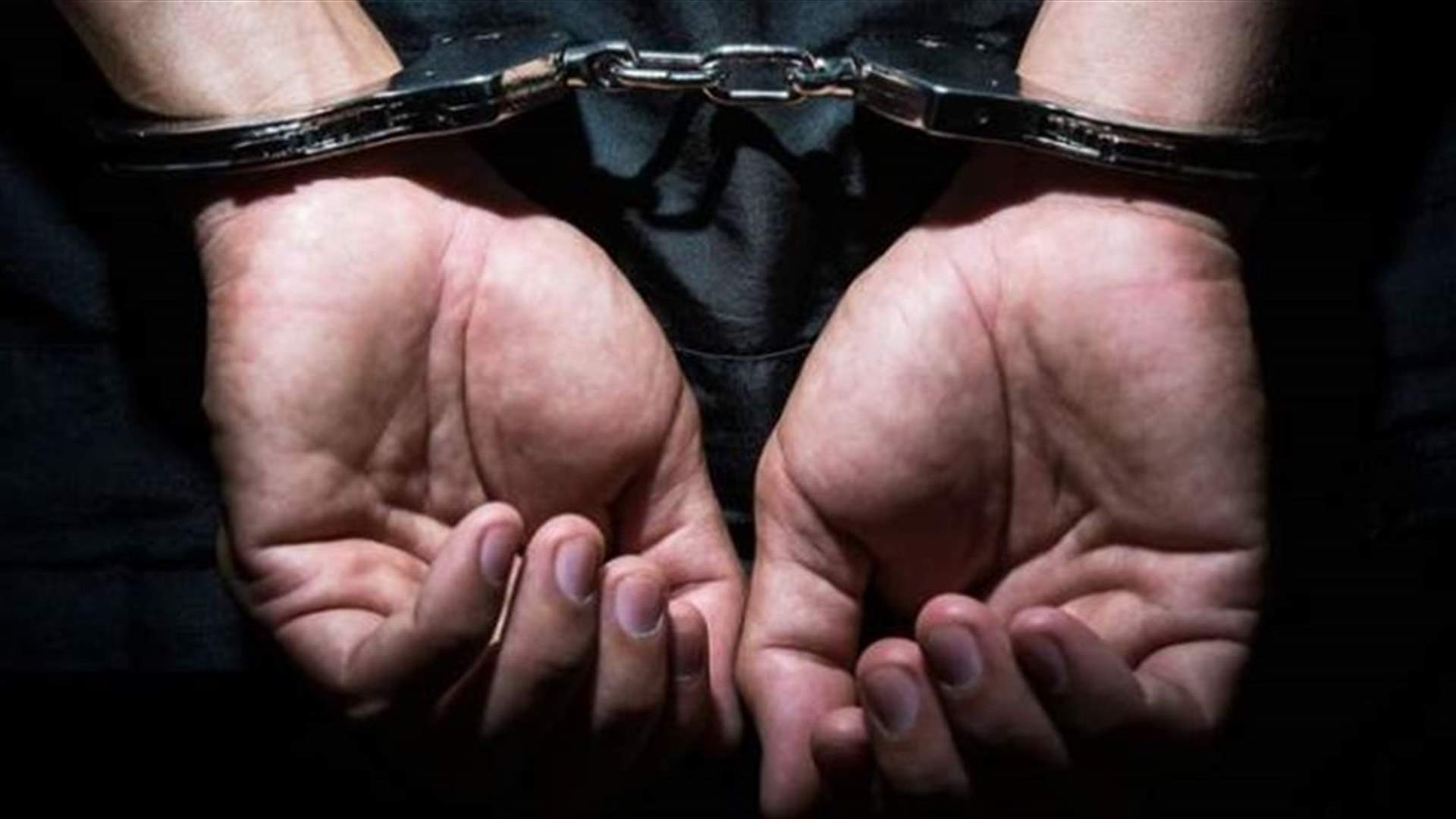 قوى الأمن توقف مروجي مخدرات وتضبط كمية من مادة السالفيا