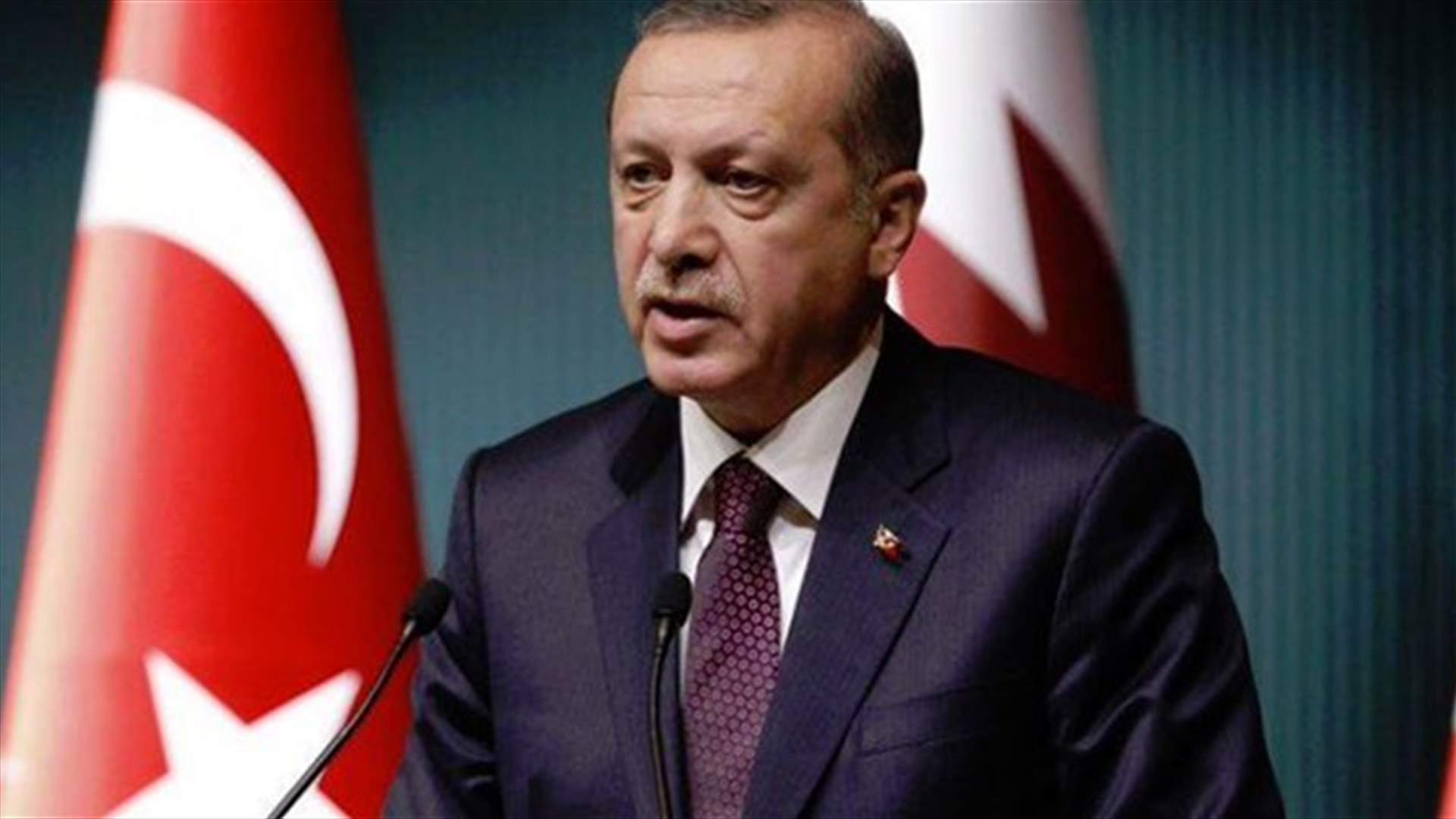 Erdogan spokesman says irrational to claim Turkey targets Kurds