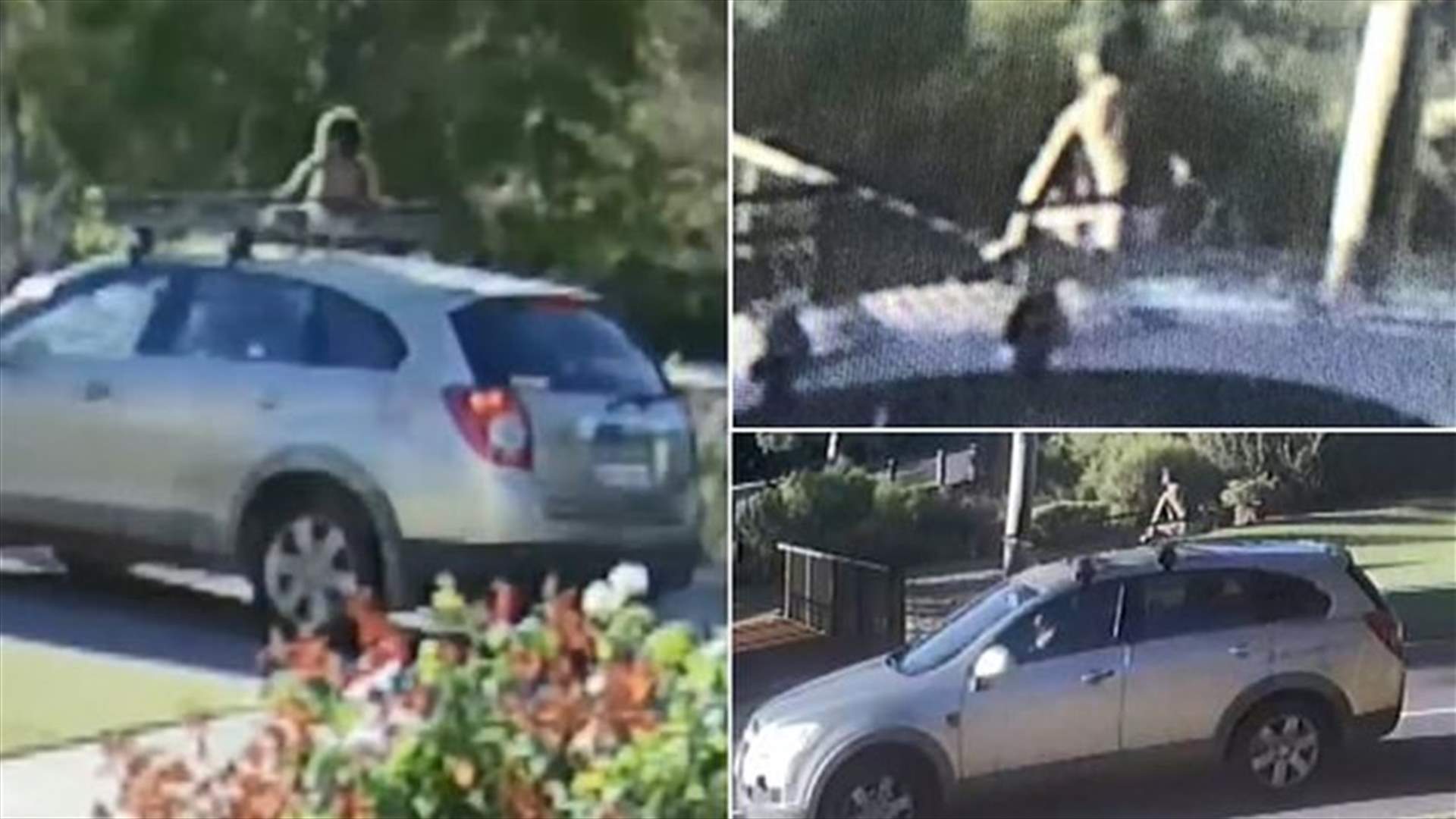 طفل يجلس على سقف السيارة التي تقودها والدته... فيديو صادم!