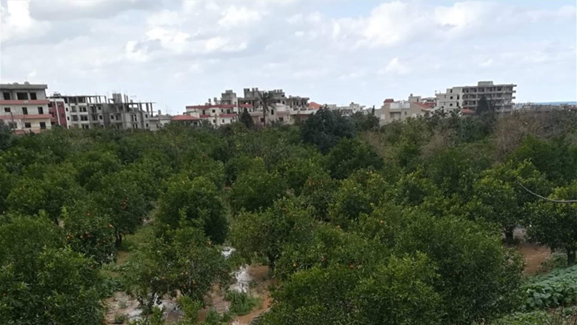العثور على جثة الطفلة السورية بعد فقدانها أمس في المنية (صورة)