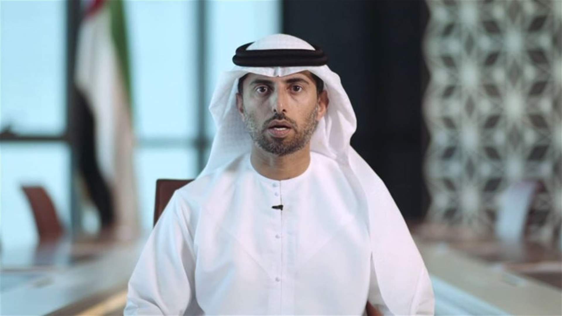وزير الطاقة الإماراتي: أوبك ليست عدوة الولايات المتحدة