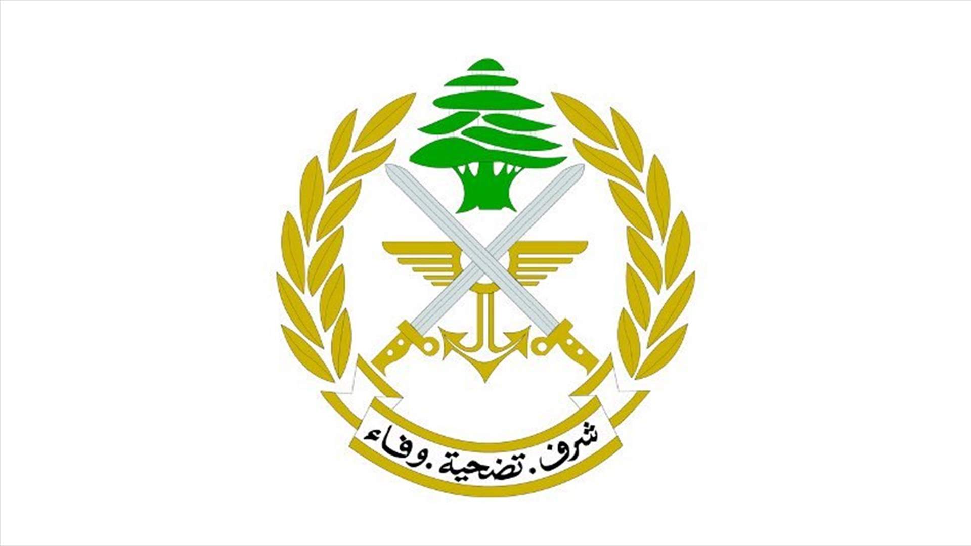Lebanese army: Situation at the border is stable