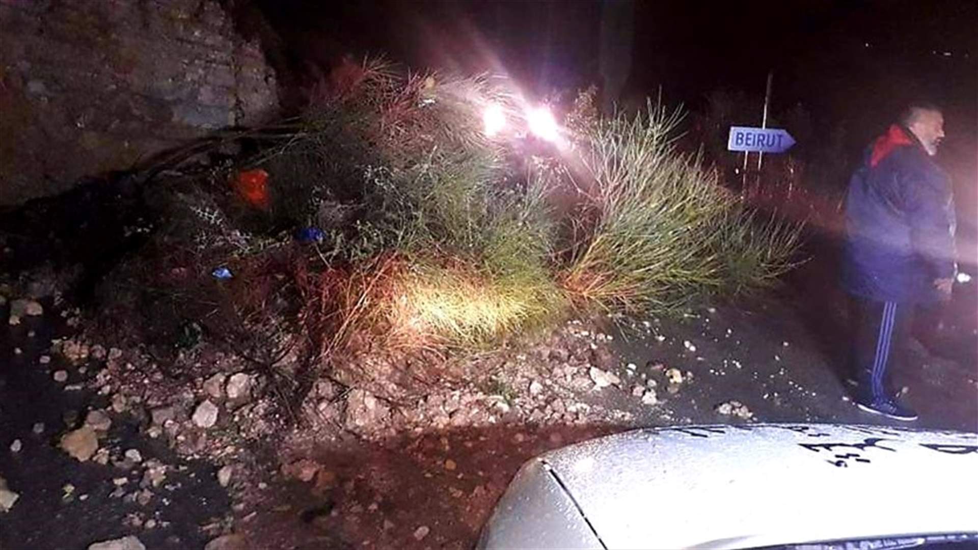 سقوط شجرة وسط طريق عام بلدة النمورة في كسروان