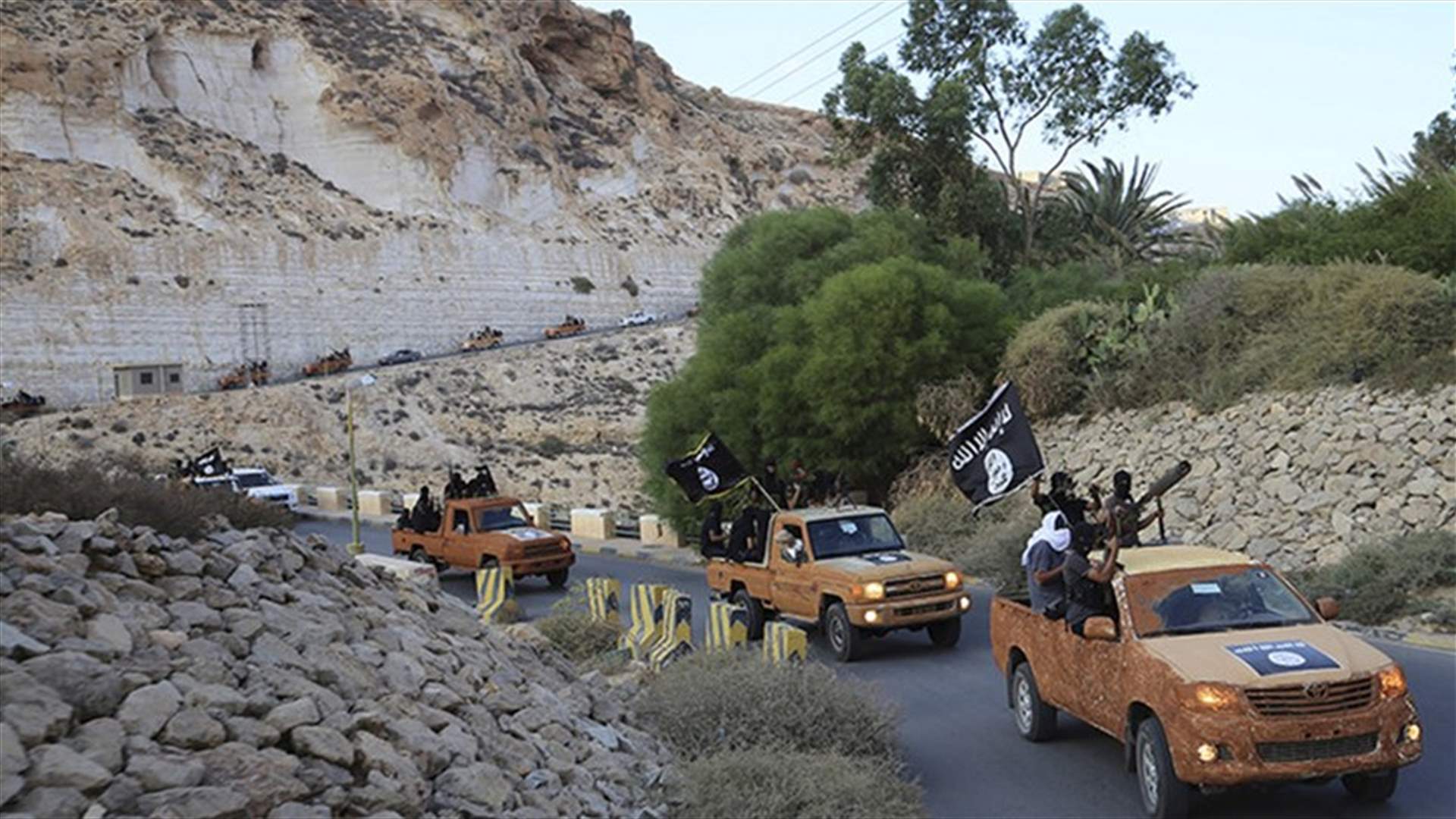 داعش يجتاح بلدة في شمال شرقي نيجيريا
