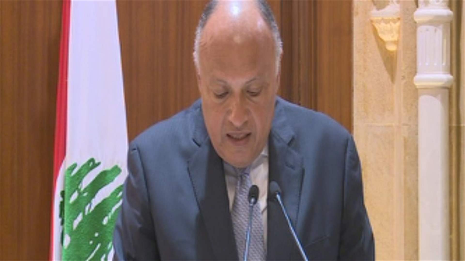 سامح شكري من بيت الوسط: لتكثيف التعاون الثنائي بين مصر ولبنان