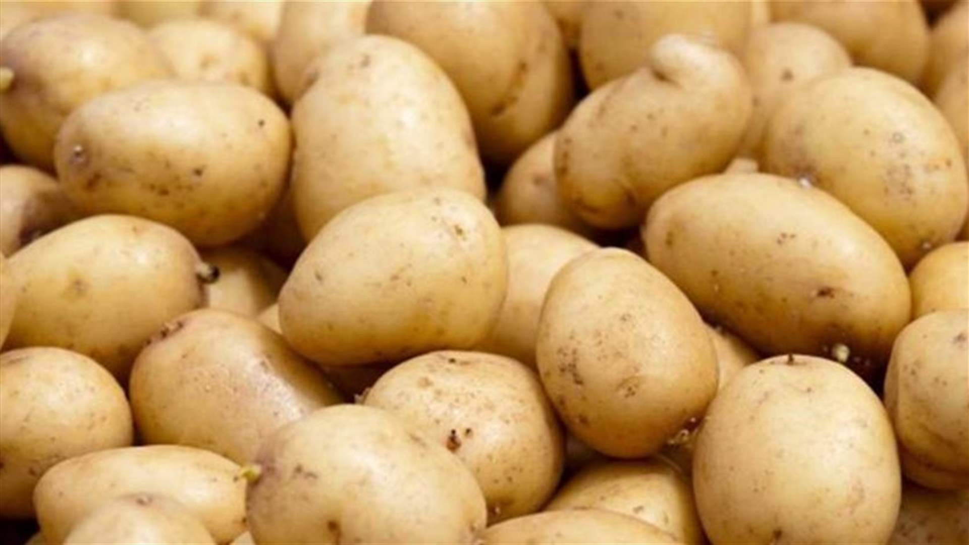 اتلاف البطاطا الفاسدة... وتسطير محضر ضبط بحق صاحب المحل ومالك البضاعة الفاسدة