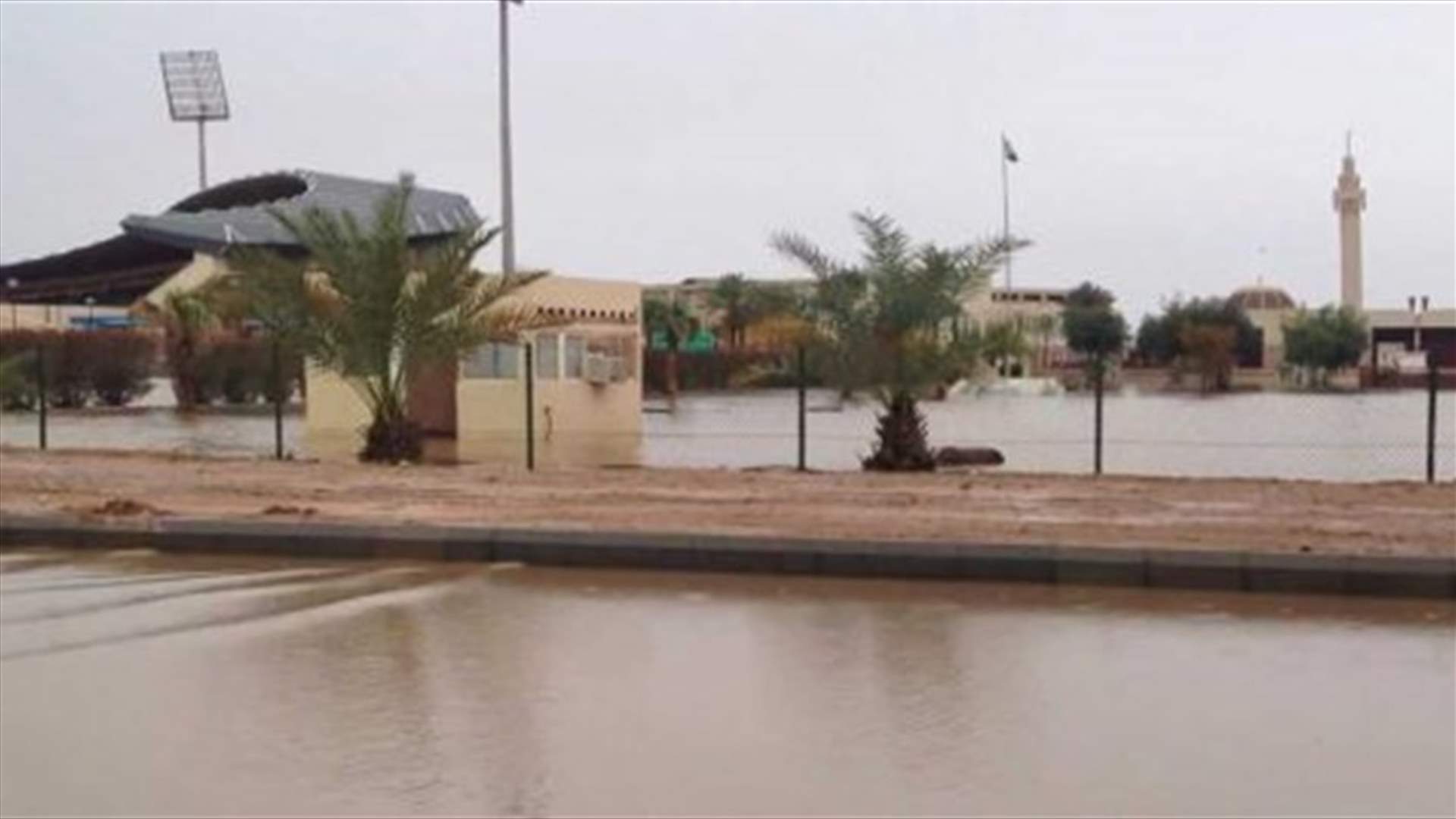 مصرع 12 شخصا في سيول في السعودية منذ الاحد
