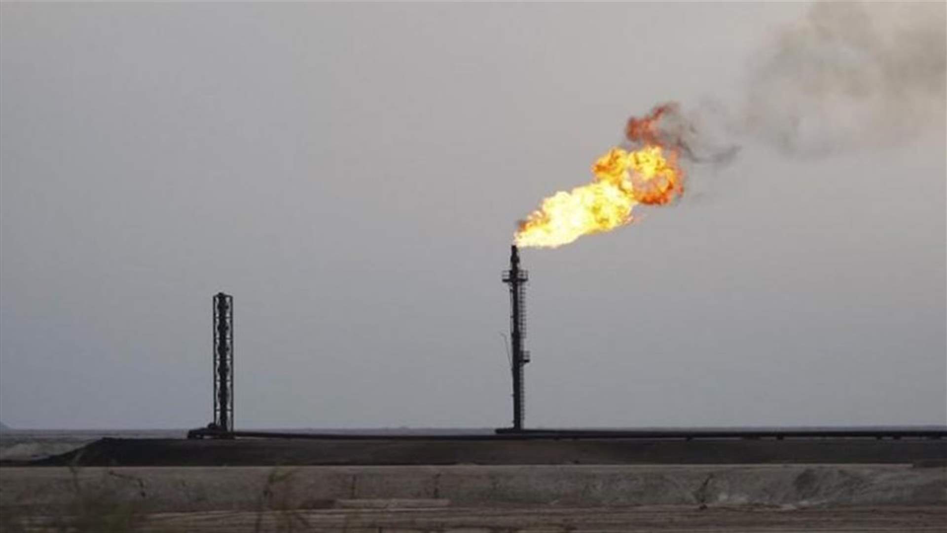 Iraq state oil company to drill 40 wells in Majnoon field