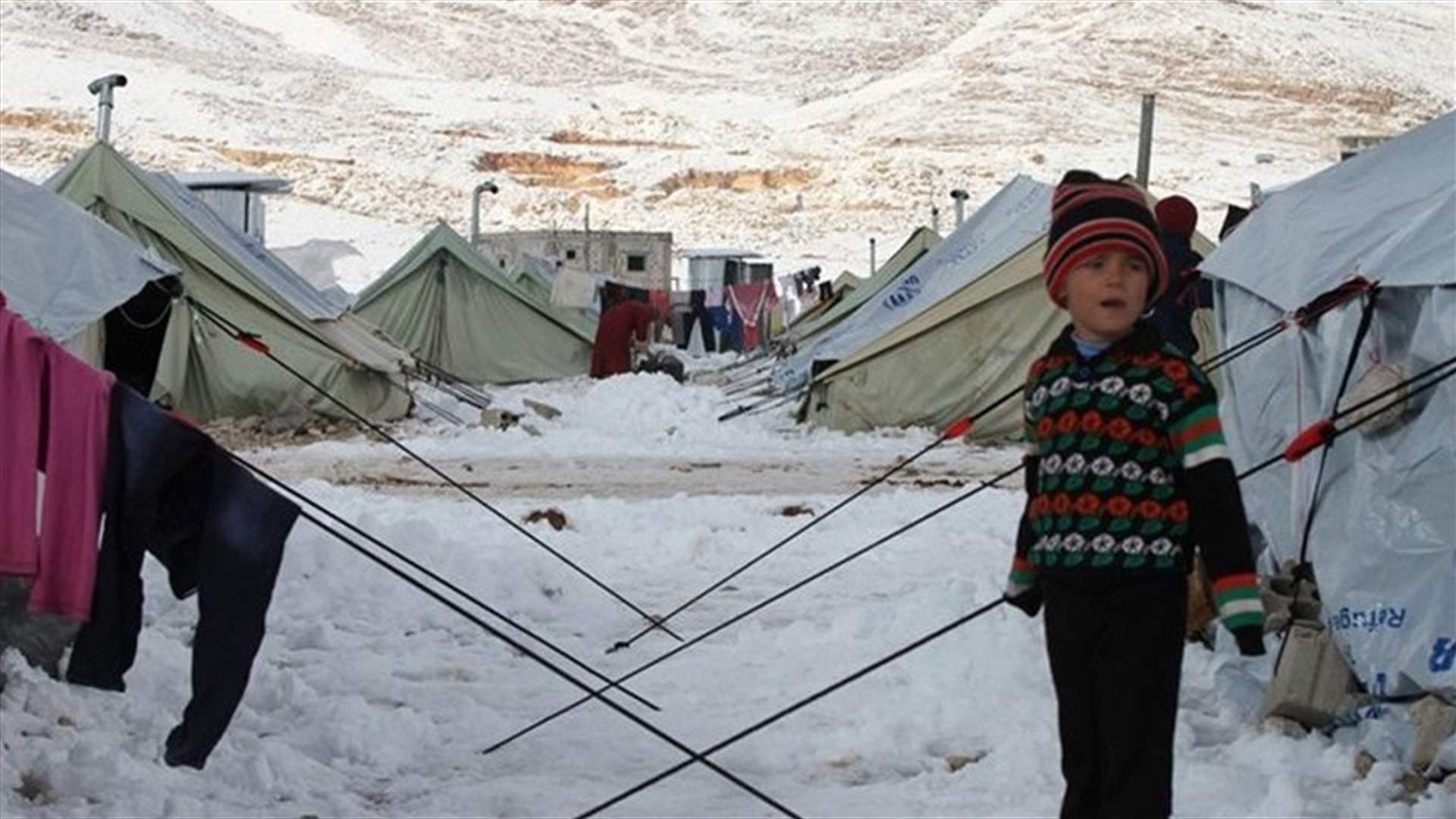 Children, babies dying from cold at camp in northeast Syria - WHO