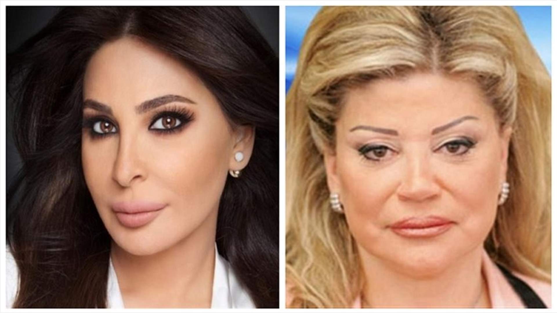إليسا سعيدة بتشكيل الحكومة..  ماذا قالت للوزيرة مي شدياق؟