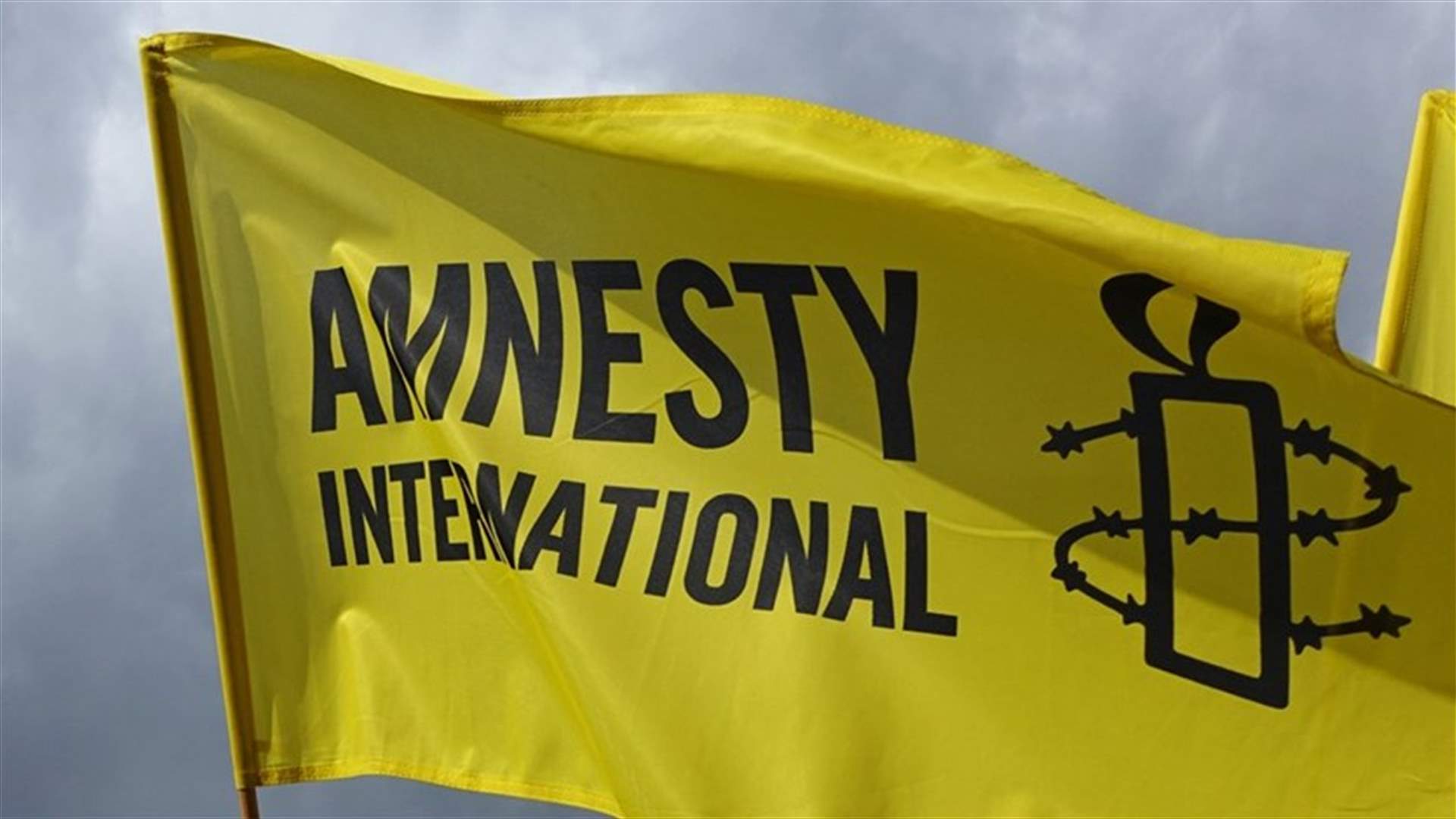 Amnesty accuses UAE of diverting arms to "militias" in Yemen