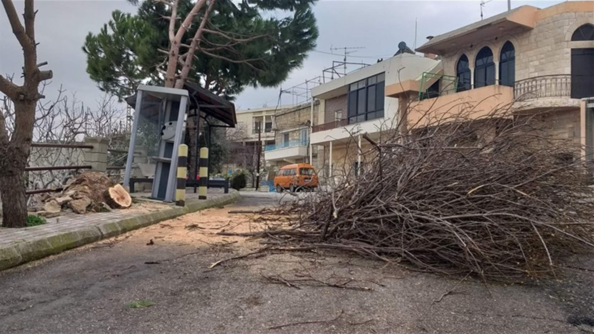 العاصفة اقلعت شجرة معمرة في روم - جزين (صورة)