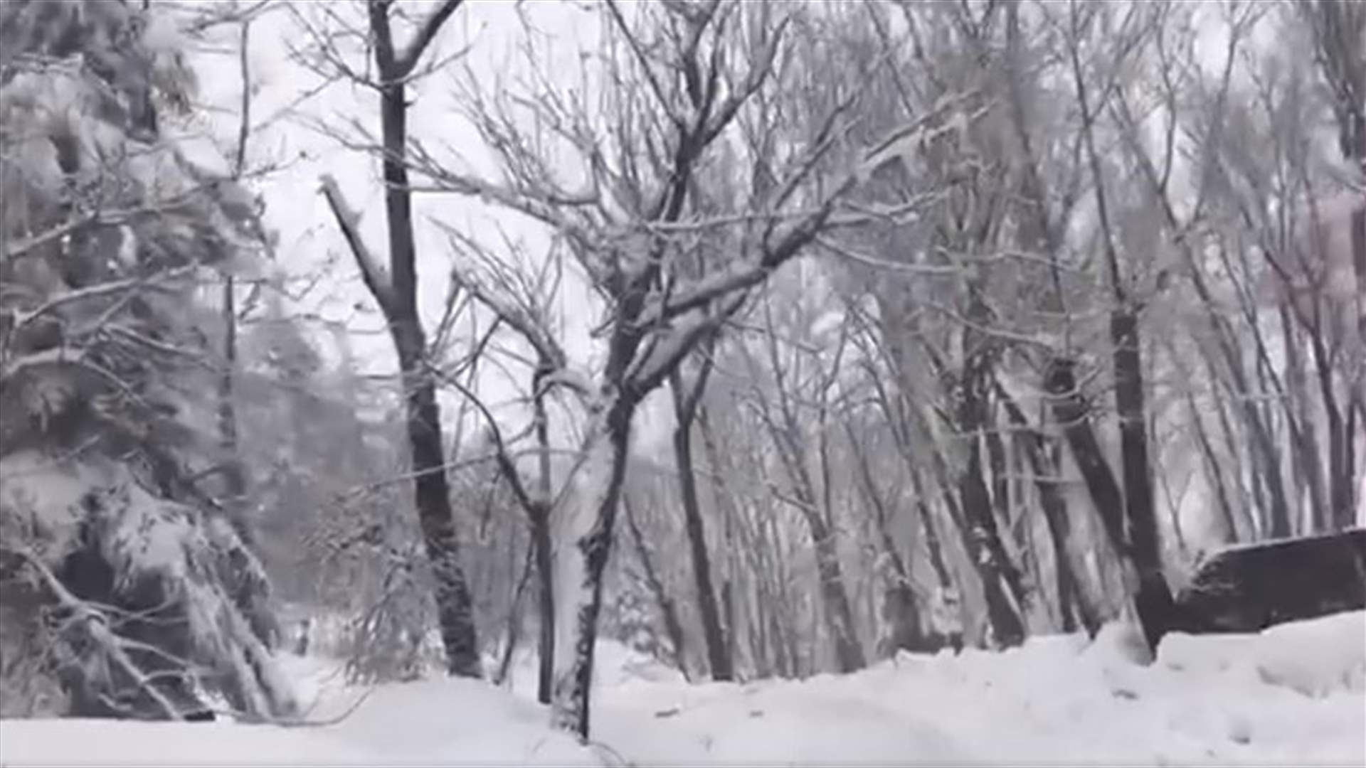 Mesmerizing scenes of Lebanon’s mountains-[VIDEO]