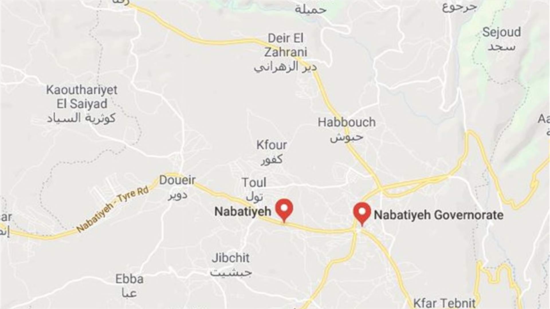 وفاة شاب سوري وإصابة شقيقه في حادث سير بالنبطية