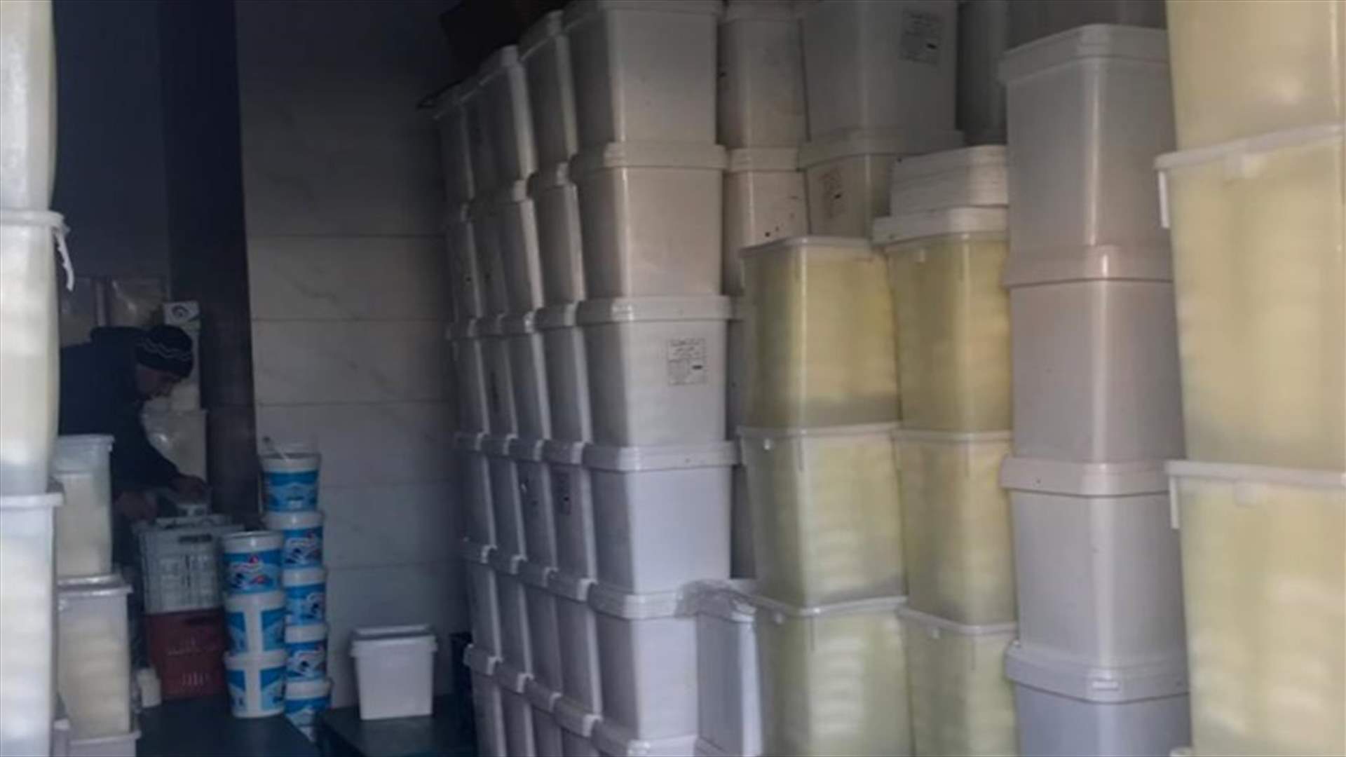 ضبط أطنان من المواد الغذائية غير المطابقة للمواصفات في جبل لبنان (صور)