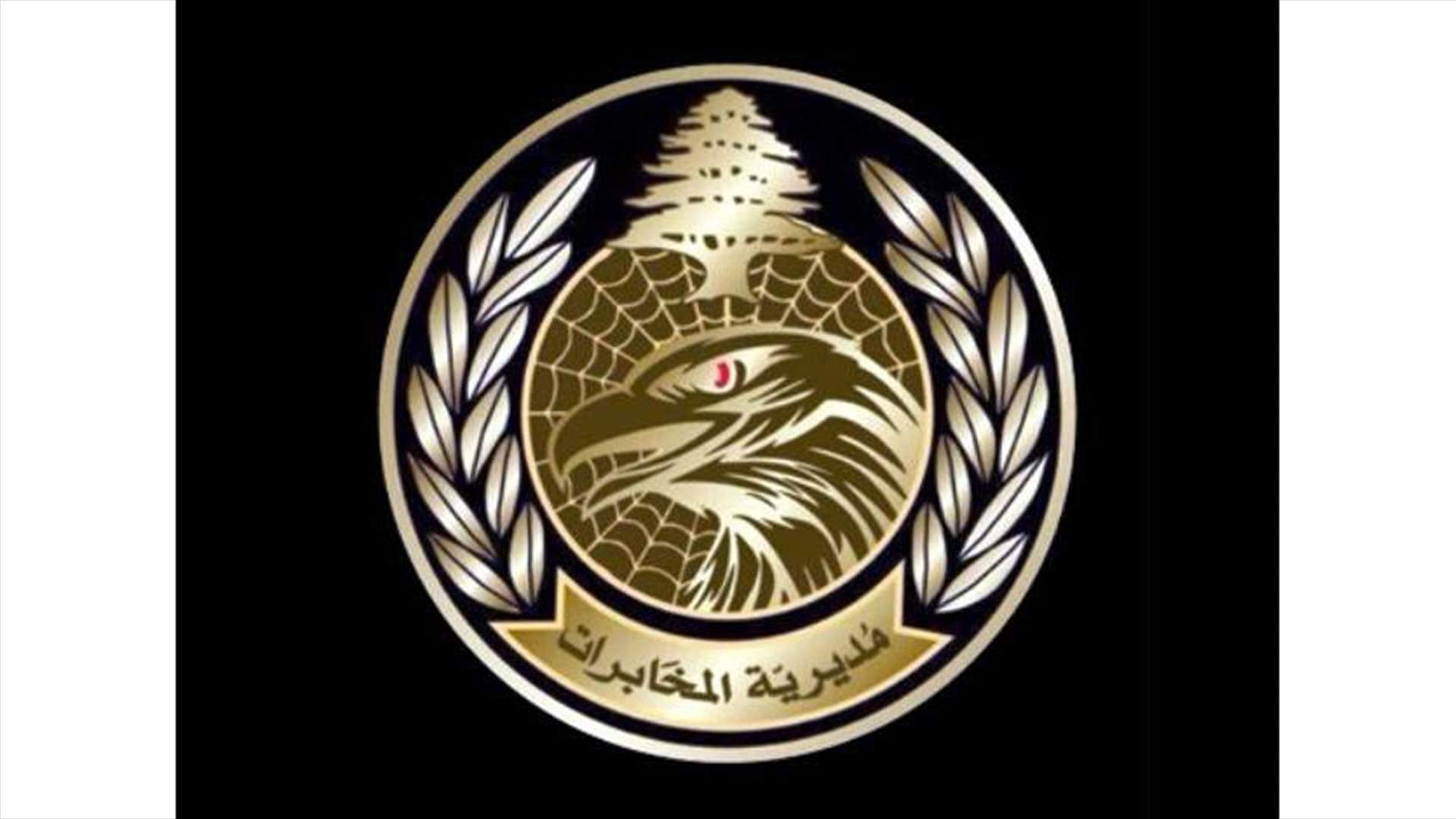 مخابرات الجيش دهمت مجمعا للنازحين في صيدا وأوقفت 11 سوريا مخالفا